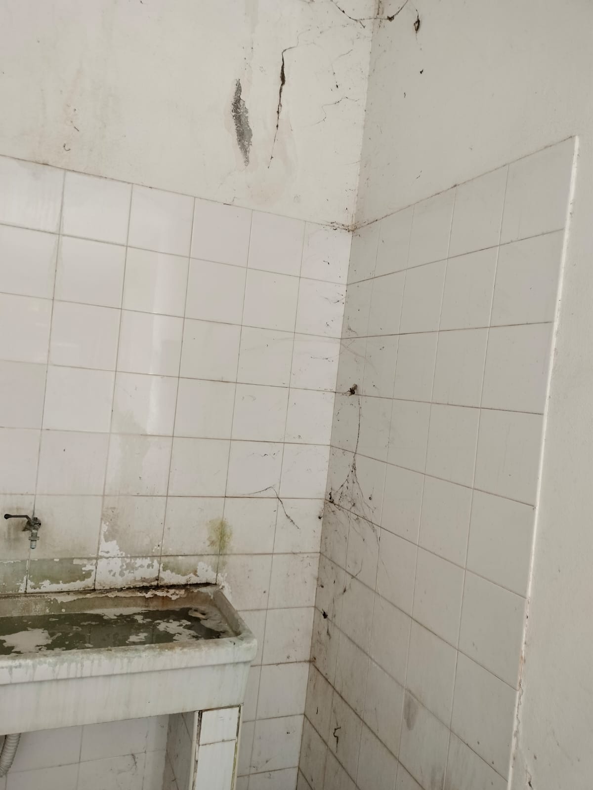 PATERNO'. IMMAGINI DI DEGRADO AL CIMITERO DI PATERNÒ: I LETTORI DENUNCIANO LA MANCANZA DI MANUTENZIONE