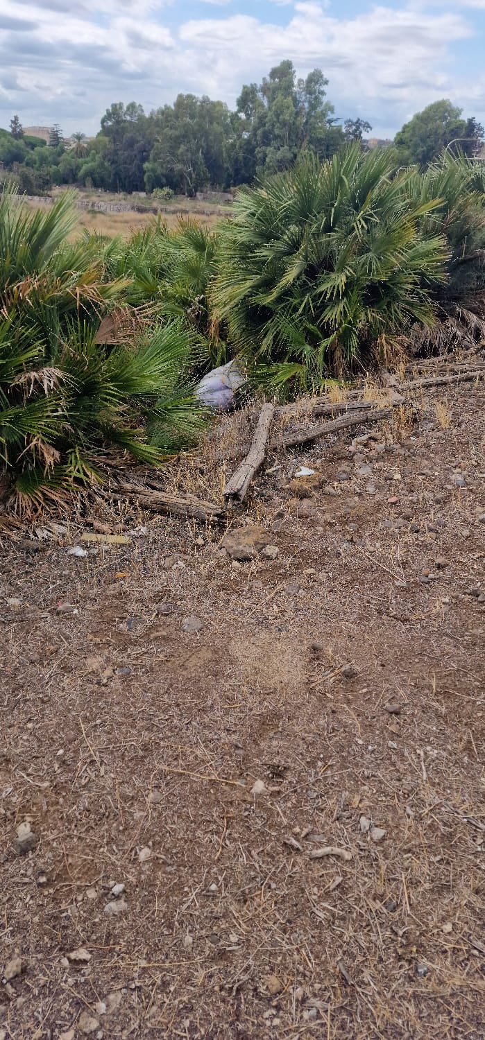 SEGNALAZIONE DEI GENITORI: MATERASSO ABBANDONATO DAVANTI ALLA SCUOLA "GIOVANNI XXIII" DI PATERNÒ