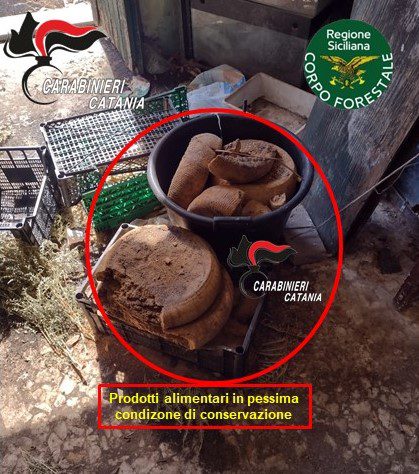 PEDARA. FORMAGGI, FUNGHI E UOVA CONSERVATI MALE. DENUNCIATO UN AMBULANTE ABUSIVO