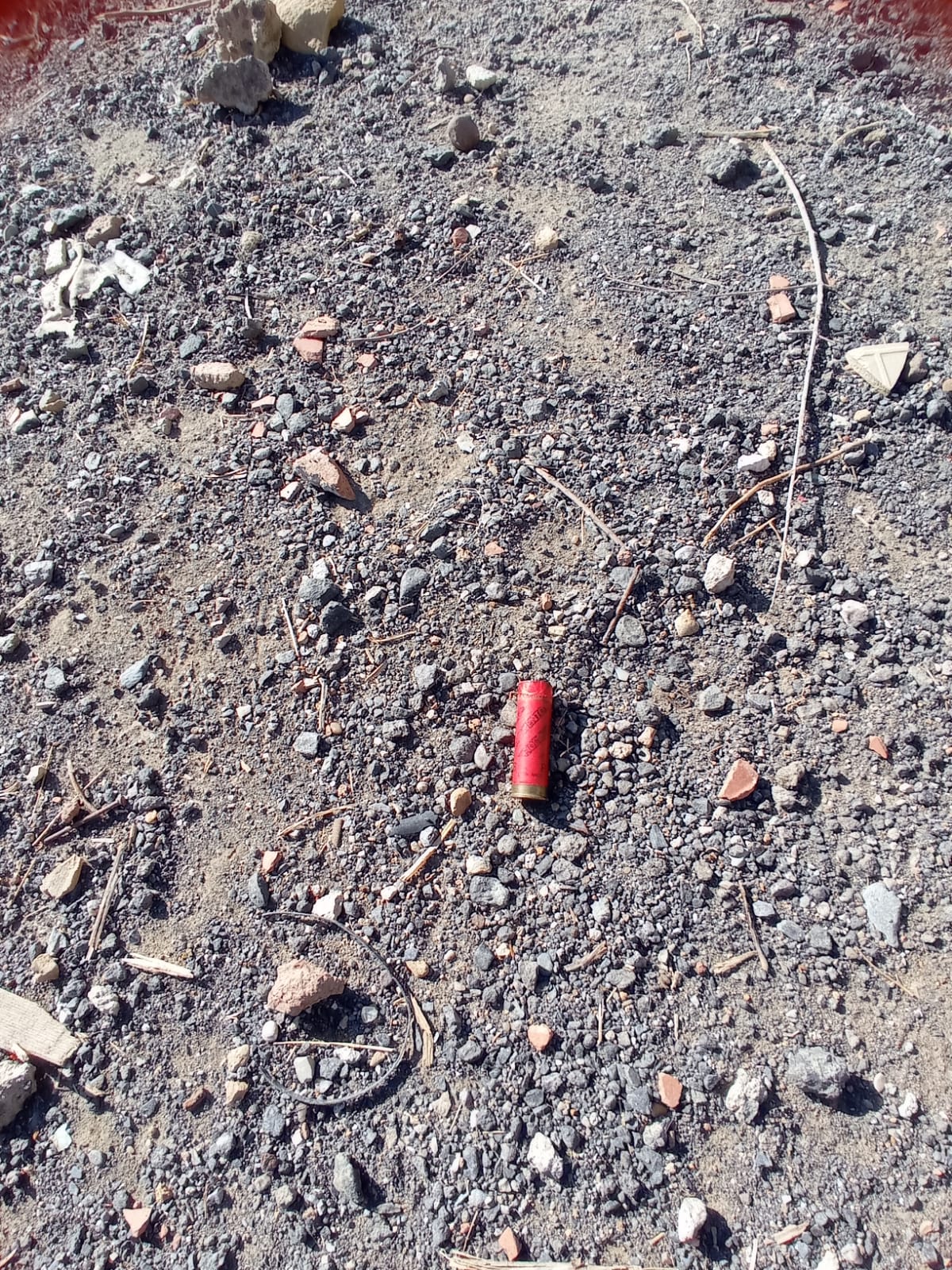 SANTA MARIA DI LICODIA. INTIMIDAZIONI A IMPRENDITORE: CASA BRUCIATA, CANI UCCISI E ULIVI ABBATTUTI