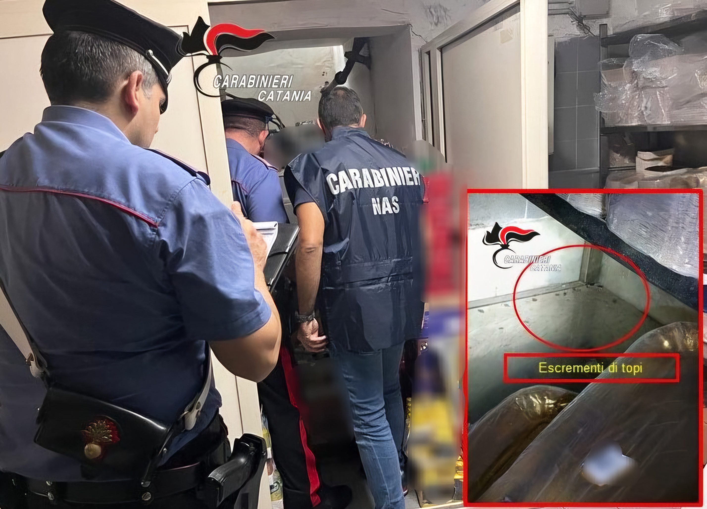 CATANIA: BLATTE E SPORCIZIA TRA I PRODOTTI IN UN BAR DI VIA ETNEA