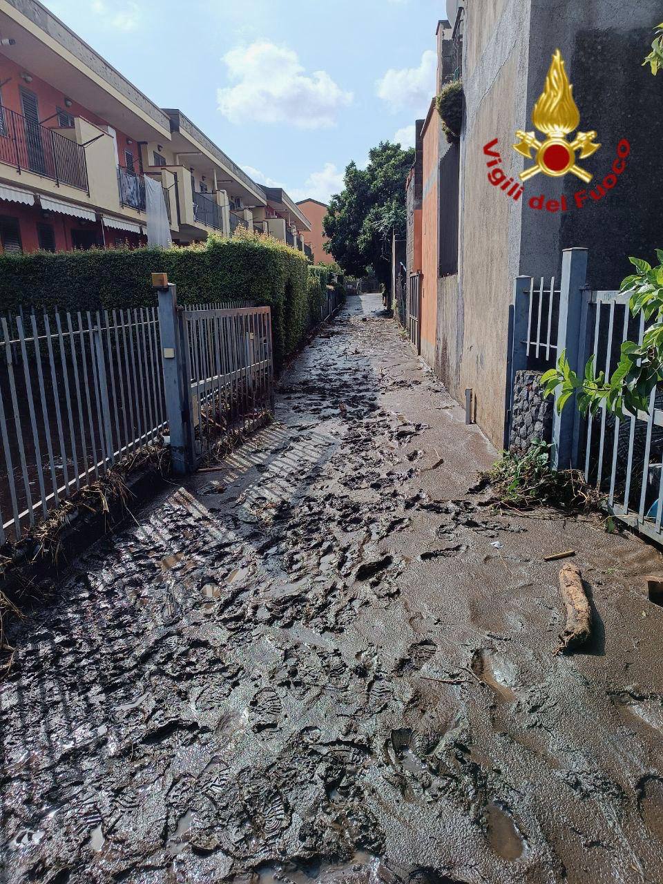 VIGILI DEL FUOCO IN AZIONE: 90 OPERAZIONI DI SOCCORSO NELLA PROVINCIA DI CATANIA