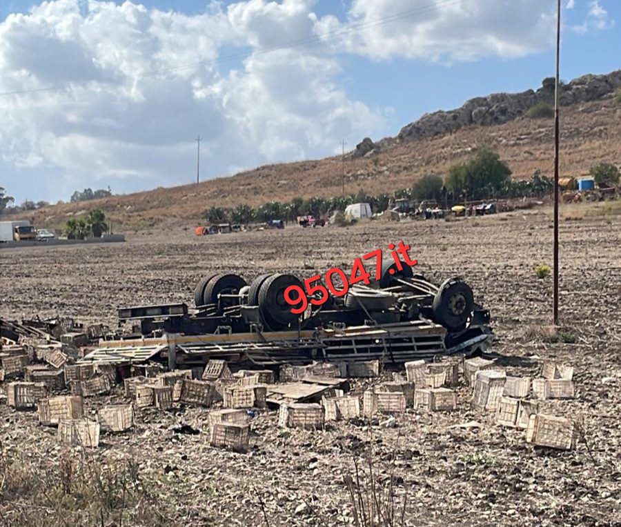 CAMION CARICO DI FICHI D'INDIA FUORI STRADA SULLA SS 417: GRAVE IL CONDUCENTE TRASPORTATO IN ELISOCCORSO