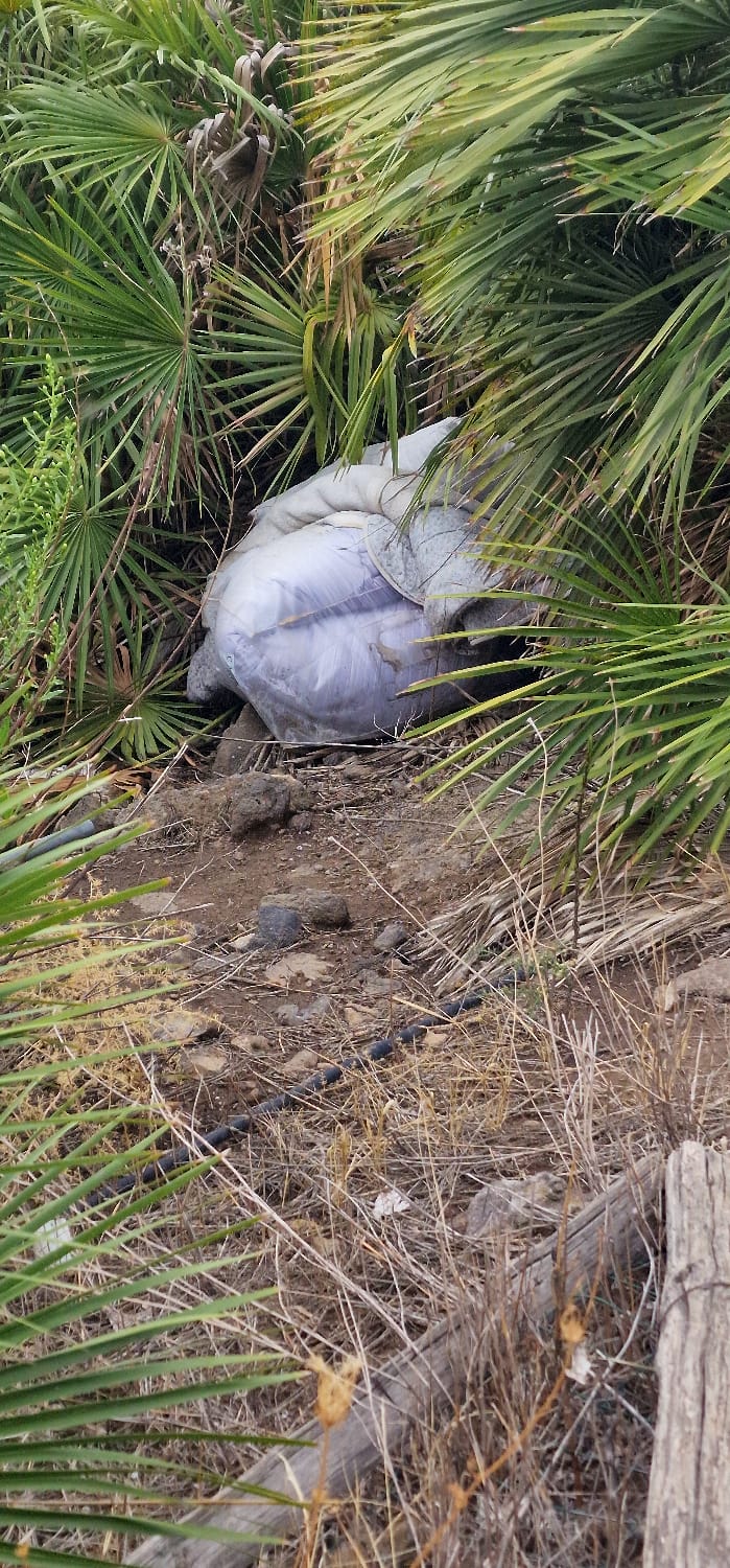 SEGNALAZIONE DEI GENITORI: MATERASSO ABBANDONATO DAVANTI ALLA SCUOLA "GIOVANNI XXIII" DI PATERNÒ