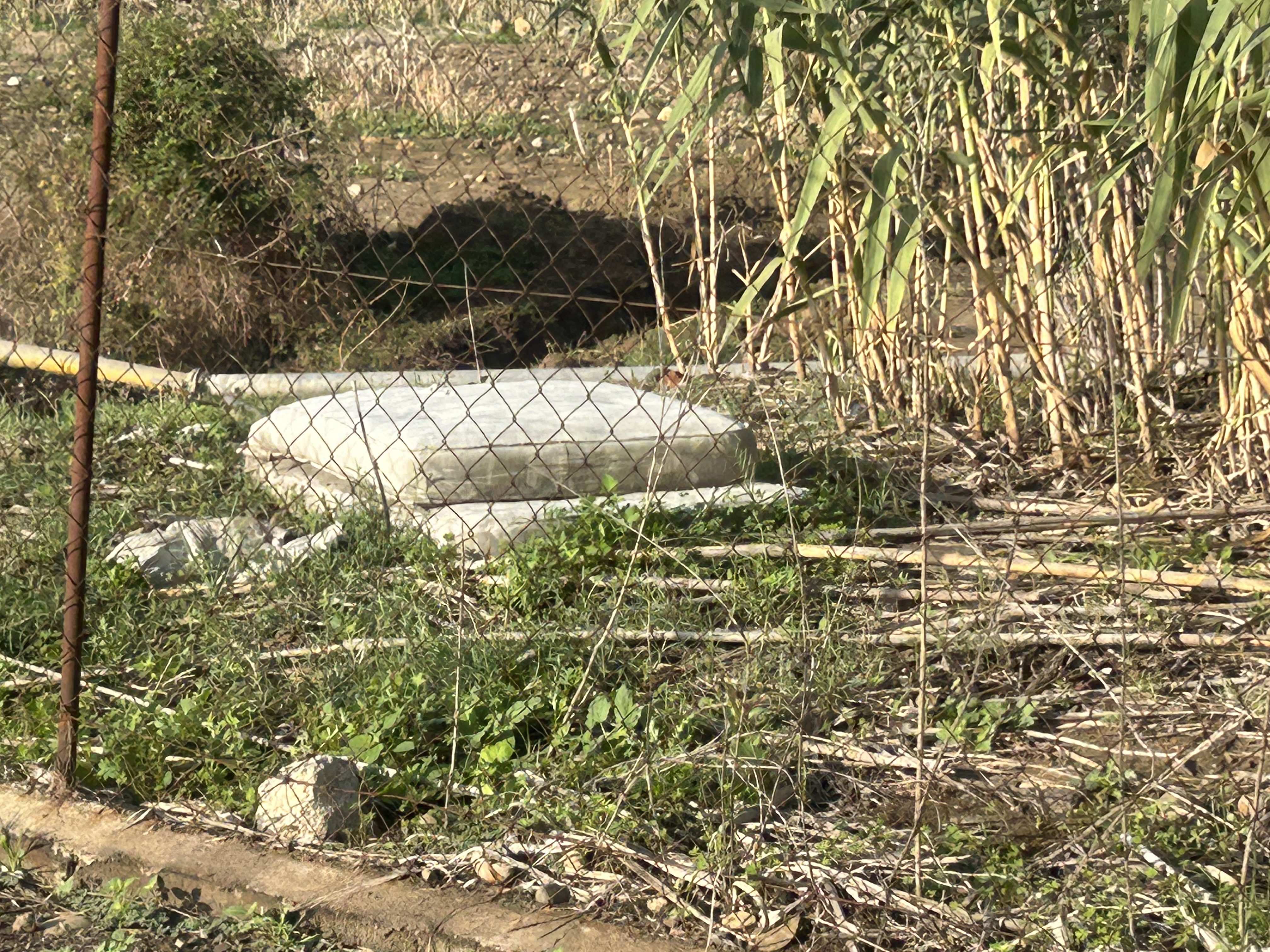 SEGNALAZIONE DA PONTE BARCA: "DIFFICOLTÀ DI ACCESSO E DEGRADO AMBIENTALE NELLA ZONA AGRICOLA"