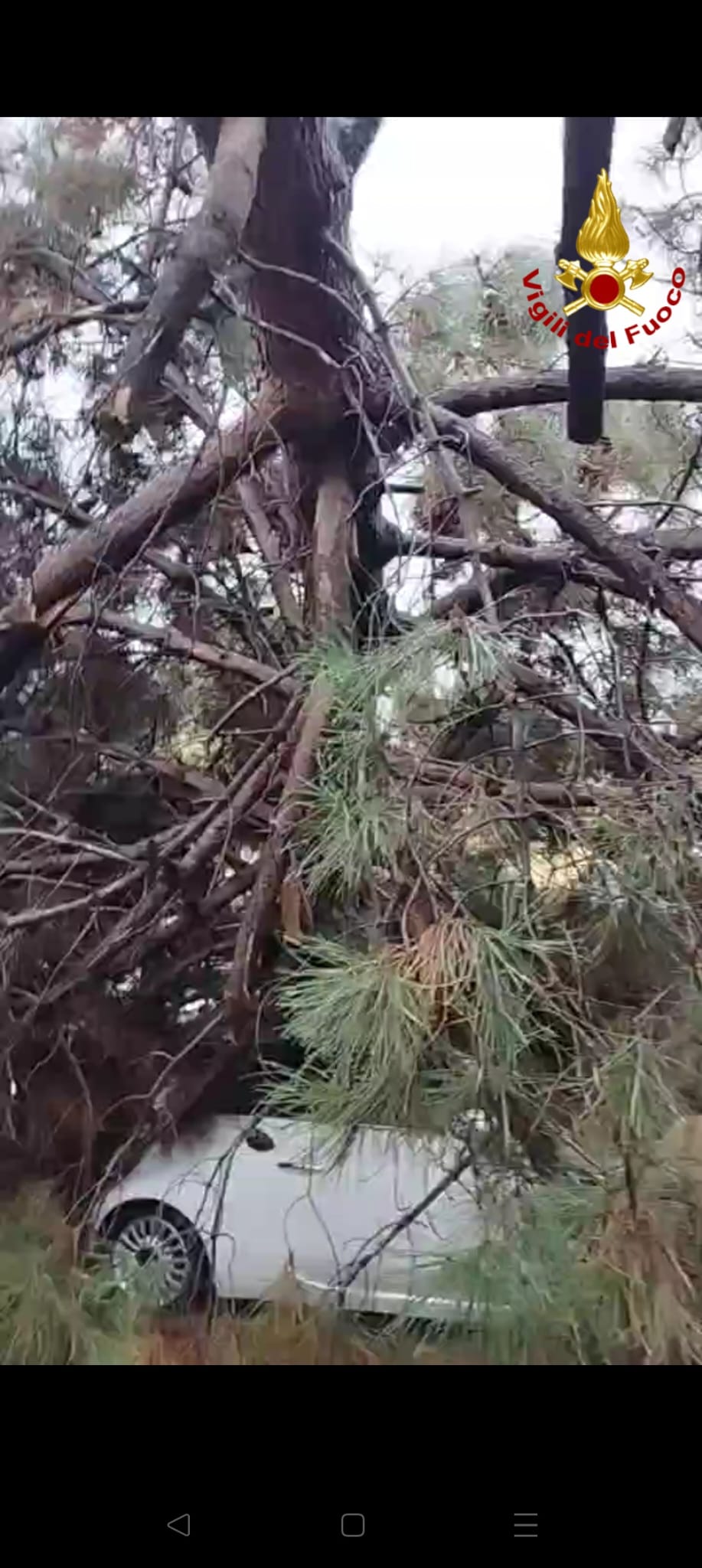 VIGILI DEL FUOCO INTERVENGONO A BELPASSO E MISTERBIANCO PER SALVARE AUTOMOBILISTI INTRAPPOLATI NELLE AUTO