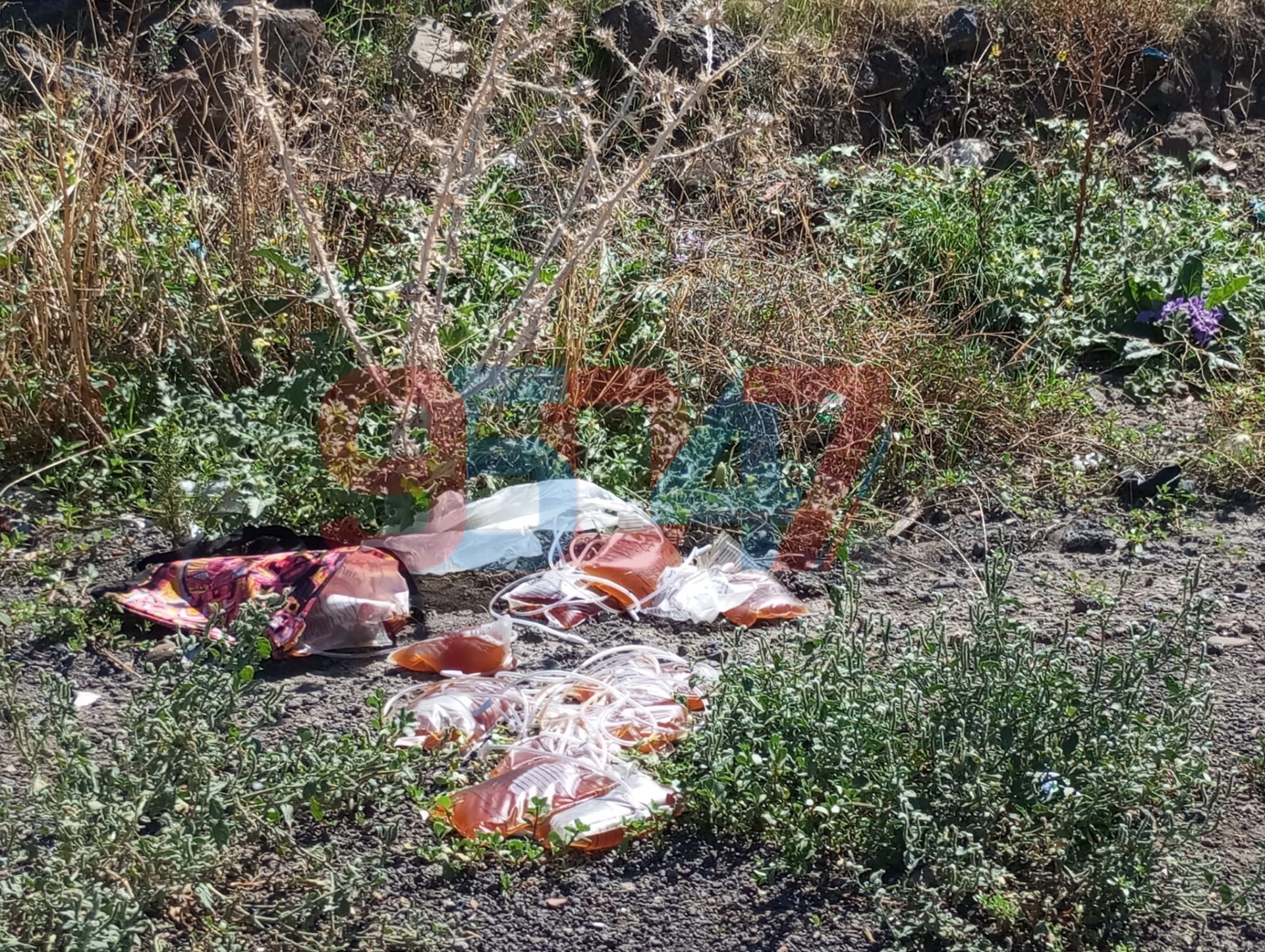 PATERNÒ.  SACCHE CATETERE CON URINA SUL TERRENO: L’INCREDIBILE SCENA DAVANTI ALL'ISTITUTO AGRARIO