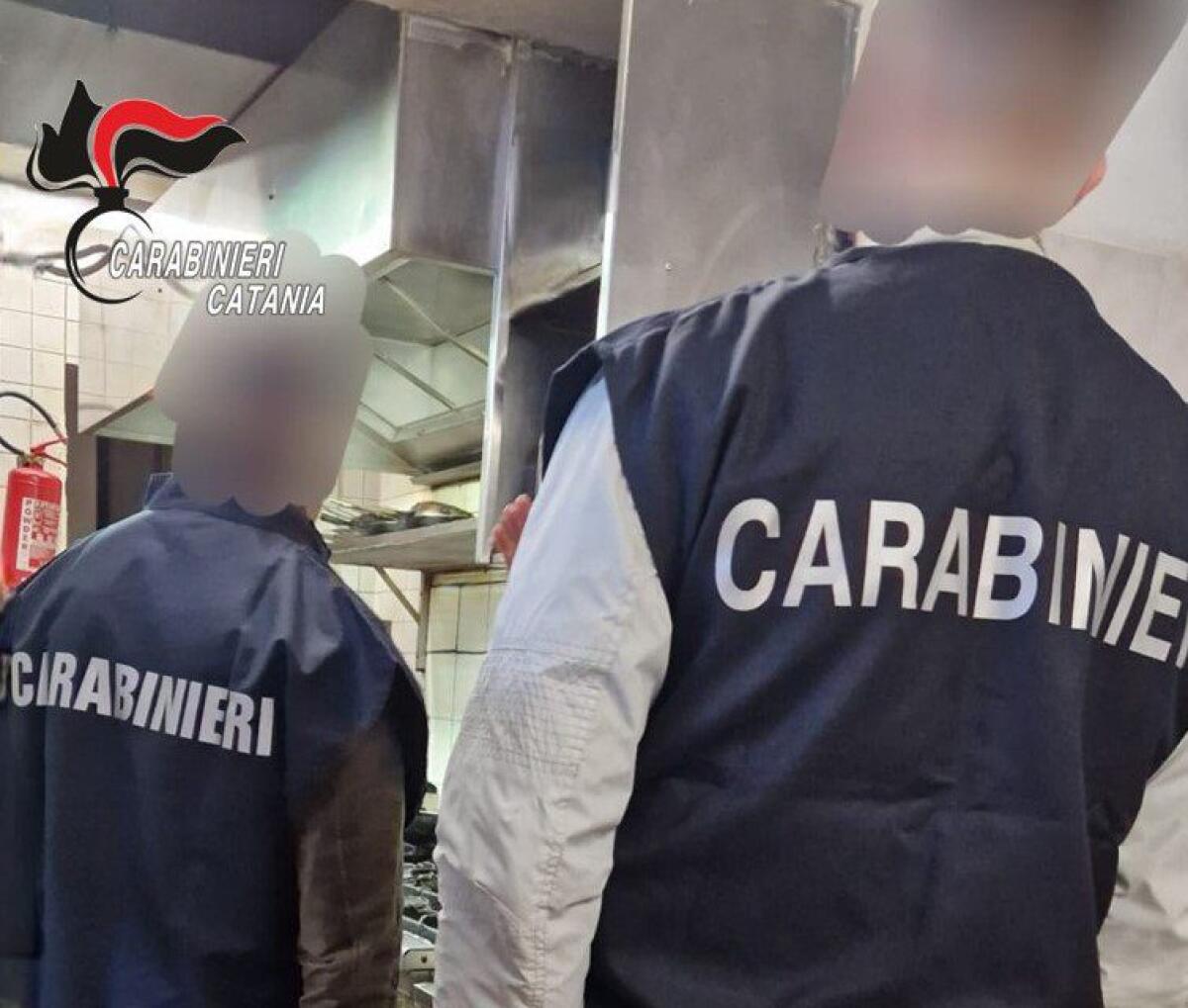 ORRORE AD ACICASTELLO: ESCREMENTI DI TOPI E BLATTE IN CUCINA, RISTORANTE CHIUSO IMMEDIATAMENTE - 