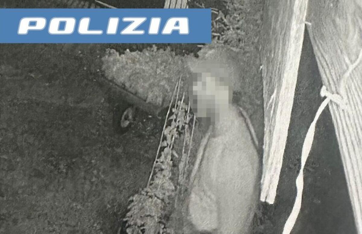 CATANIA. RUBA 20 BARATTOLI DI MIELE E L'INCASSO DEL GIORNO PRIMA, DENUNCIATO - 