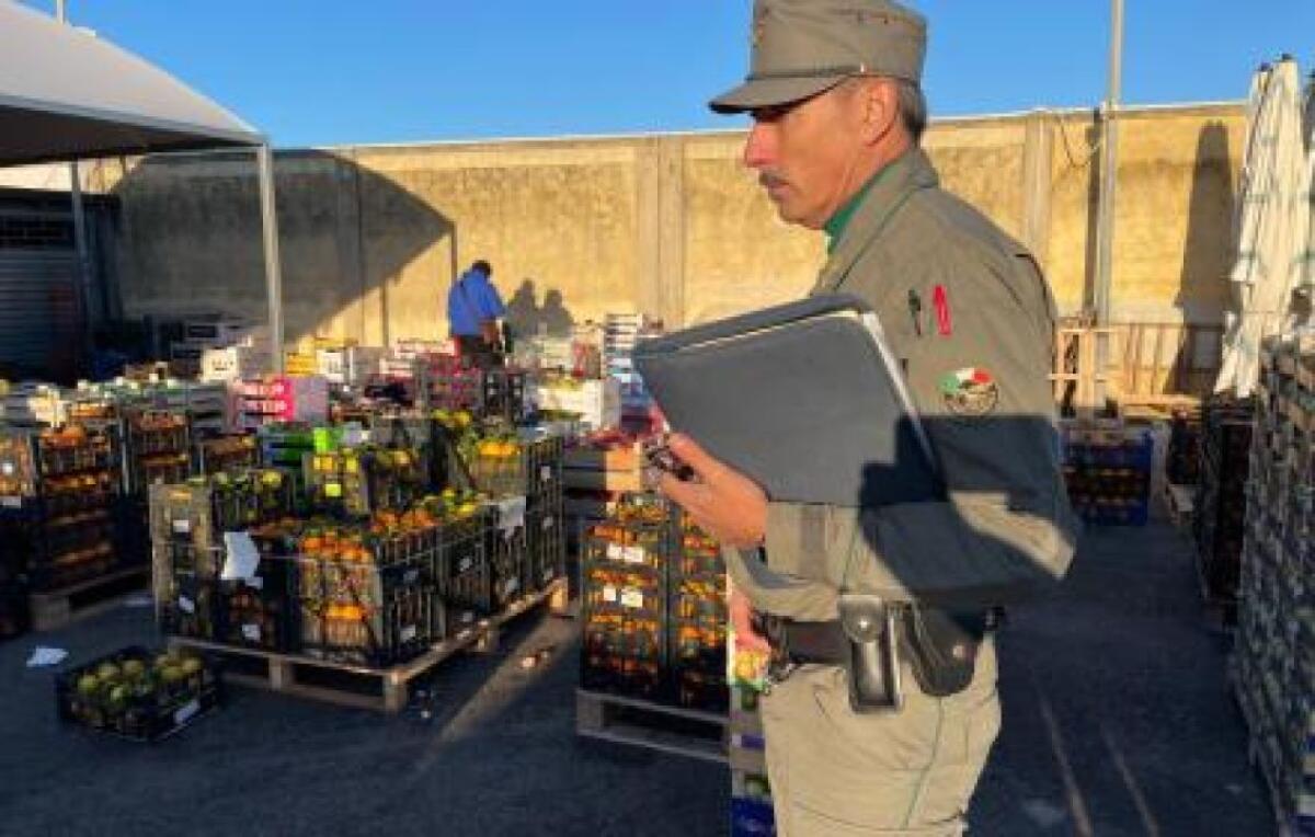 BLITZ AL MERCATO ORTOFRUTTICOLO DI SIRACUSA: SEQUESTRATI 2.800 CHILI DI AGRUMI IRREGOLARI - 