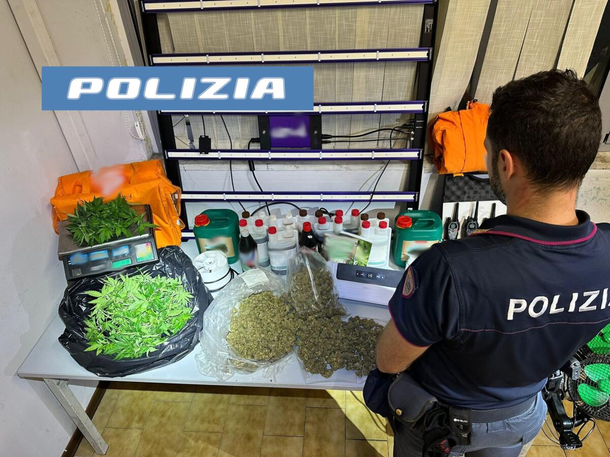 CATANIA. PADRE E FIGLIO ARRESTATI DALLA POLIZIA DI STATO: COLTIVANO LA MARIJUANA IN CASA E LA SPACCIAVANO A DOMICILIO - 