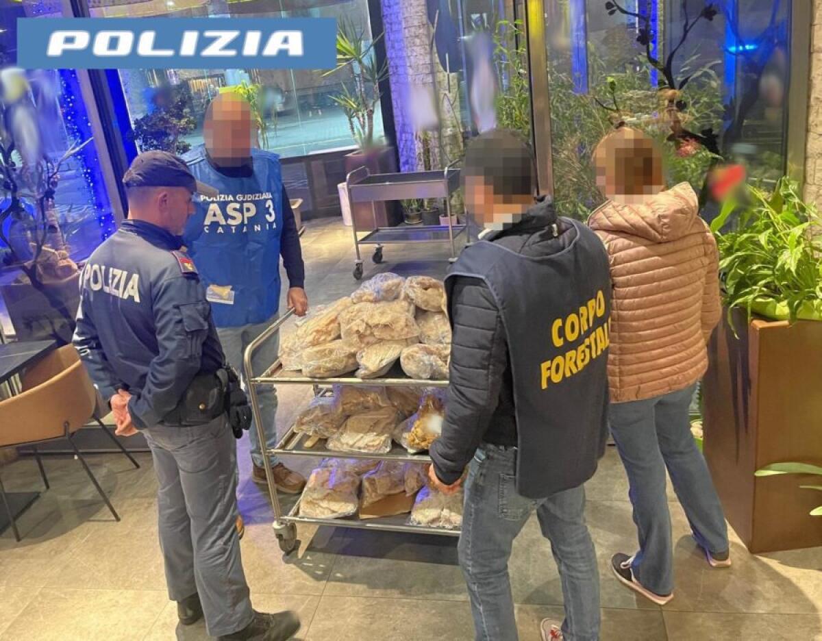 SEQUESTRO DI 200 KG DI ALIMENTI NON TRACCIATI E LAVORATORI IN 'NERO' IN RISTORANTE ORIENTALE DI CATANIA: SANZIONI PER 100MILA EURO" - 