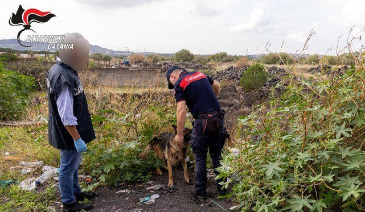 MAXI OPERAZIONE DEI CARABINIERI A CATANIA: 200 MILITARI IMPEGNATI, 330 PERSONE CONTROLLATE E 17 VEICOLI SEQUESTRATI - 