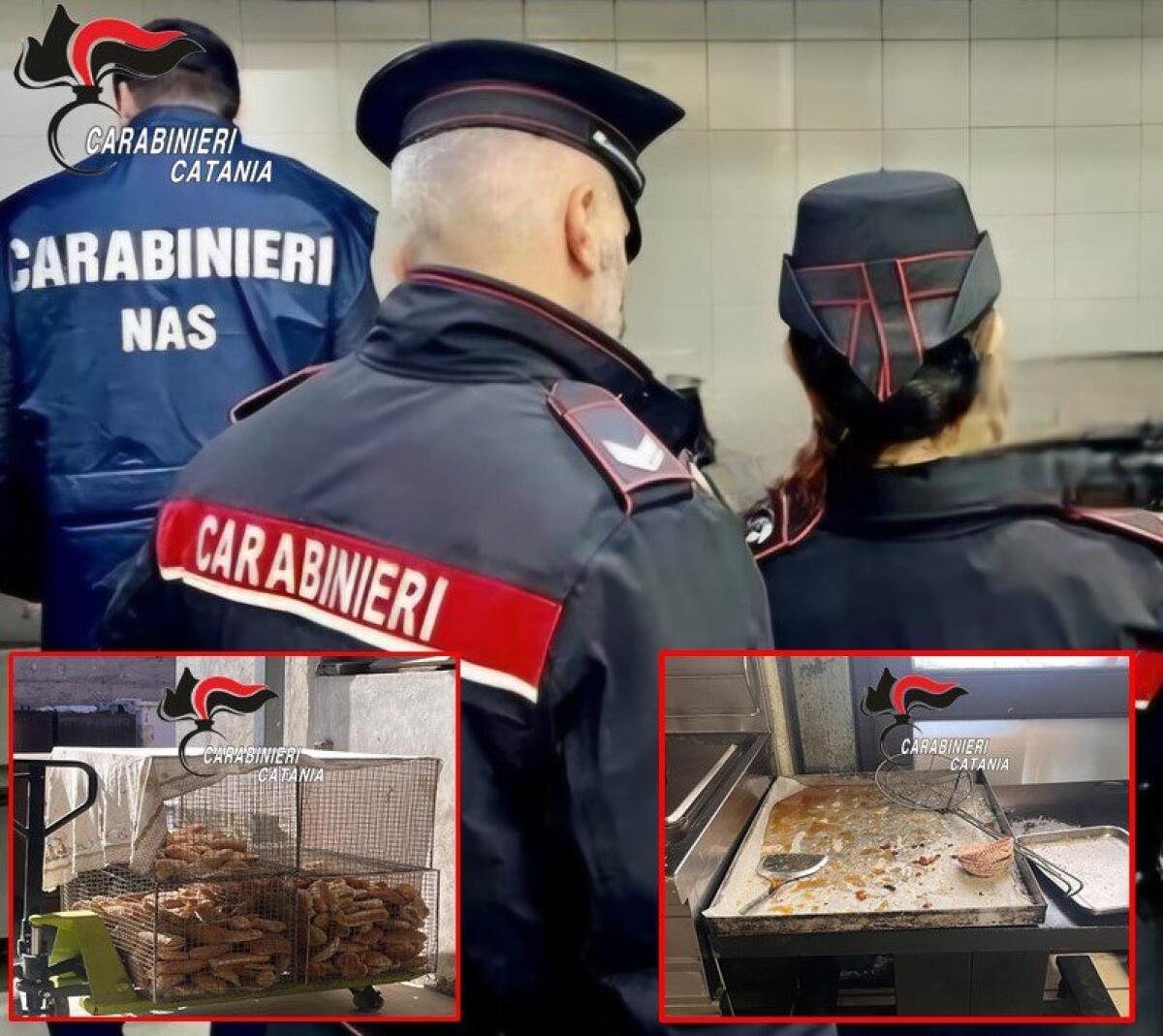 GIARRE. SCOPERTO UN PANIFICIO IN PESSIME CONDIZIONI IGIENICO – SANITARIE: ATTIVITÀ SOSPESA - 