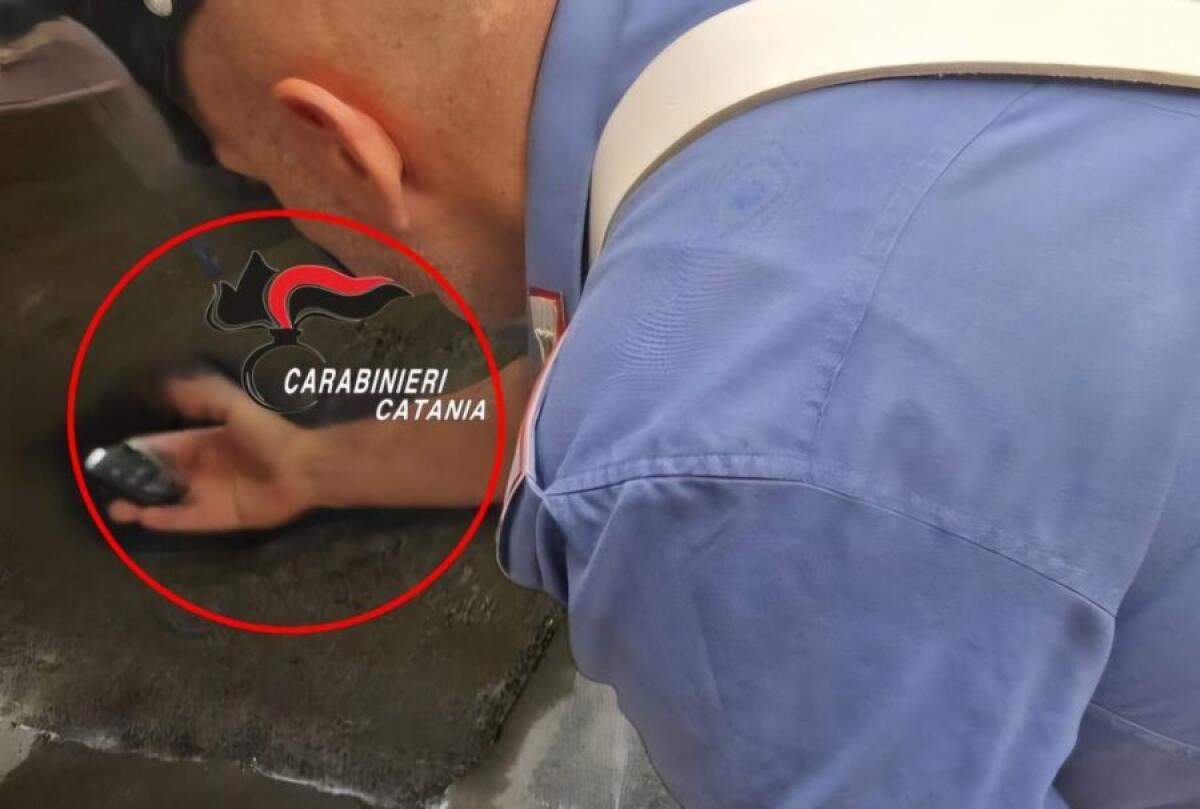 CATANIA, BECCATO CON TELECOMANDO “PASSPARTOUT” PER RUBARE AUTO: DENUNCIATO 28ENNE - 