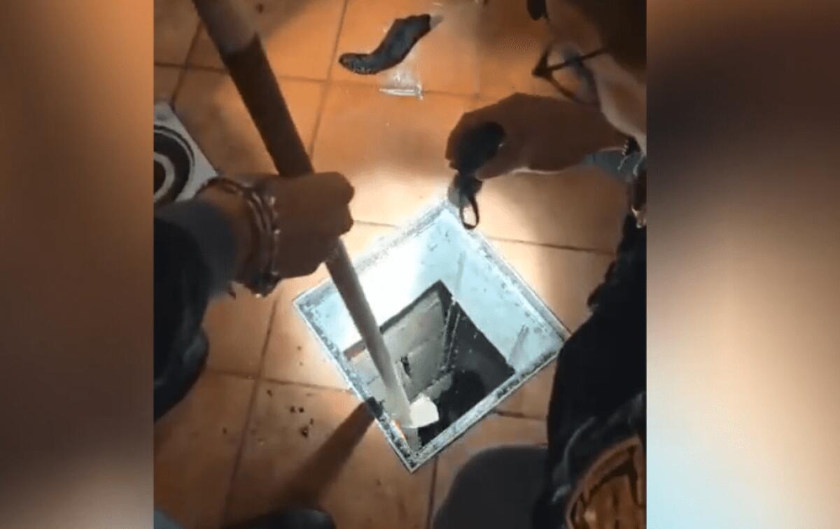 CATANIA. GETTA LA DROGA NEL WC E LA RECUPERA DAL POZZO NERO IN CASA: ARRESTATO - 