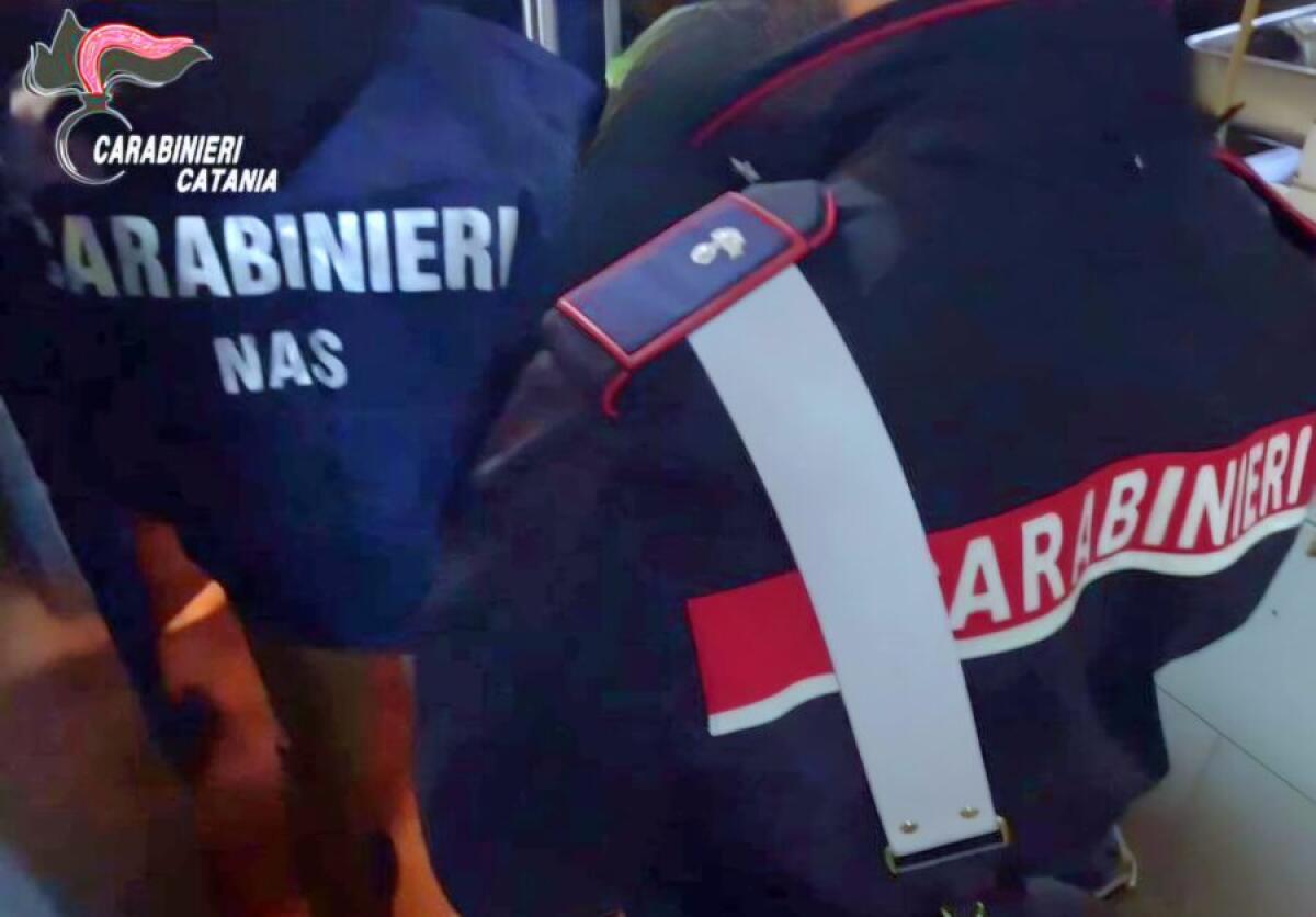 SCARAFAGGI E SPORCIZIA IN LABORATORIO DI GASTRONOMIA: I NAS SEQUESTRANO UN BAR A CATANIA - 