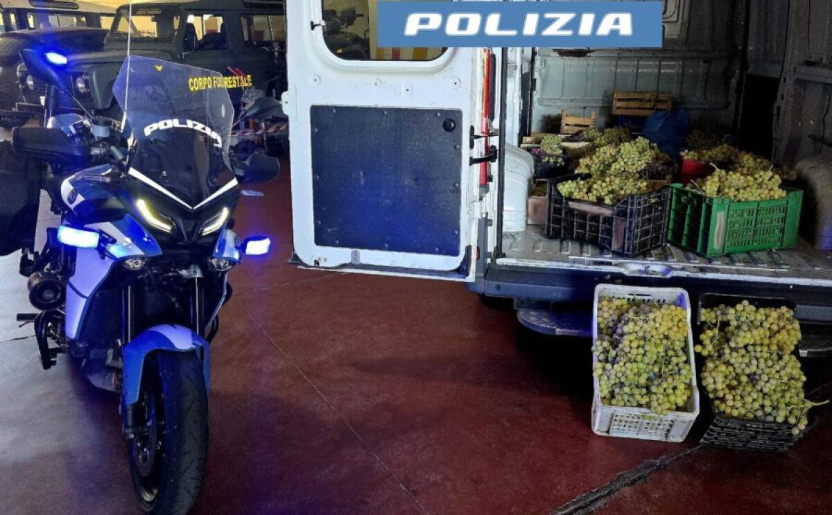 AMBULANTI ABUSIVI A CATANIA: POLIZIA SEQUESTRA 700 KG DI FRUTTA NON TRACCIATA - 