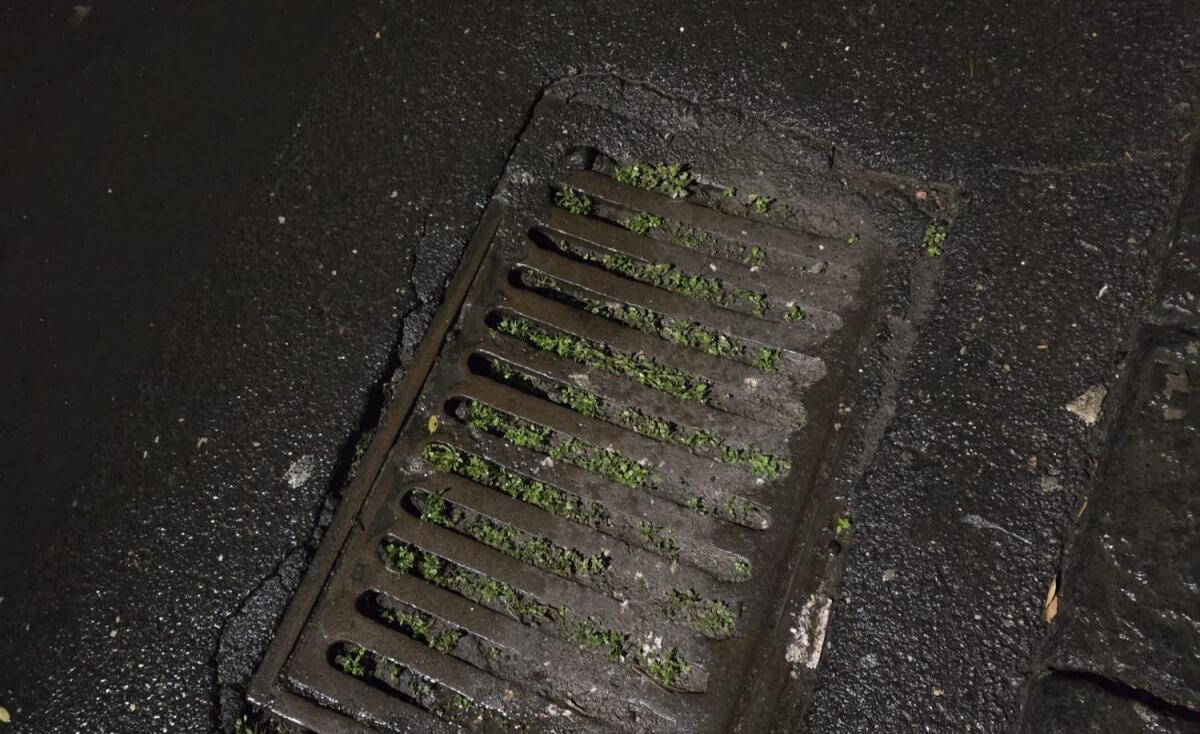ALLERTA METEO E TOMBINI OSTRUITI IN VIA MONTECARLO E VIA LIBERTÀ: I RESIDENTI LANCIANO L'ALLARME - 