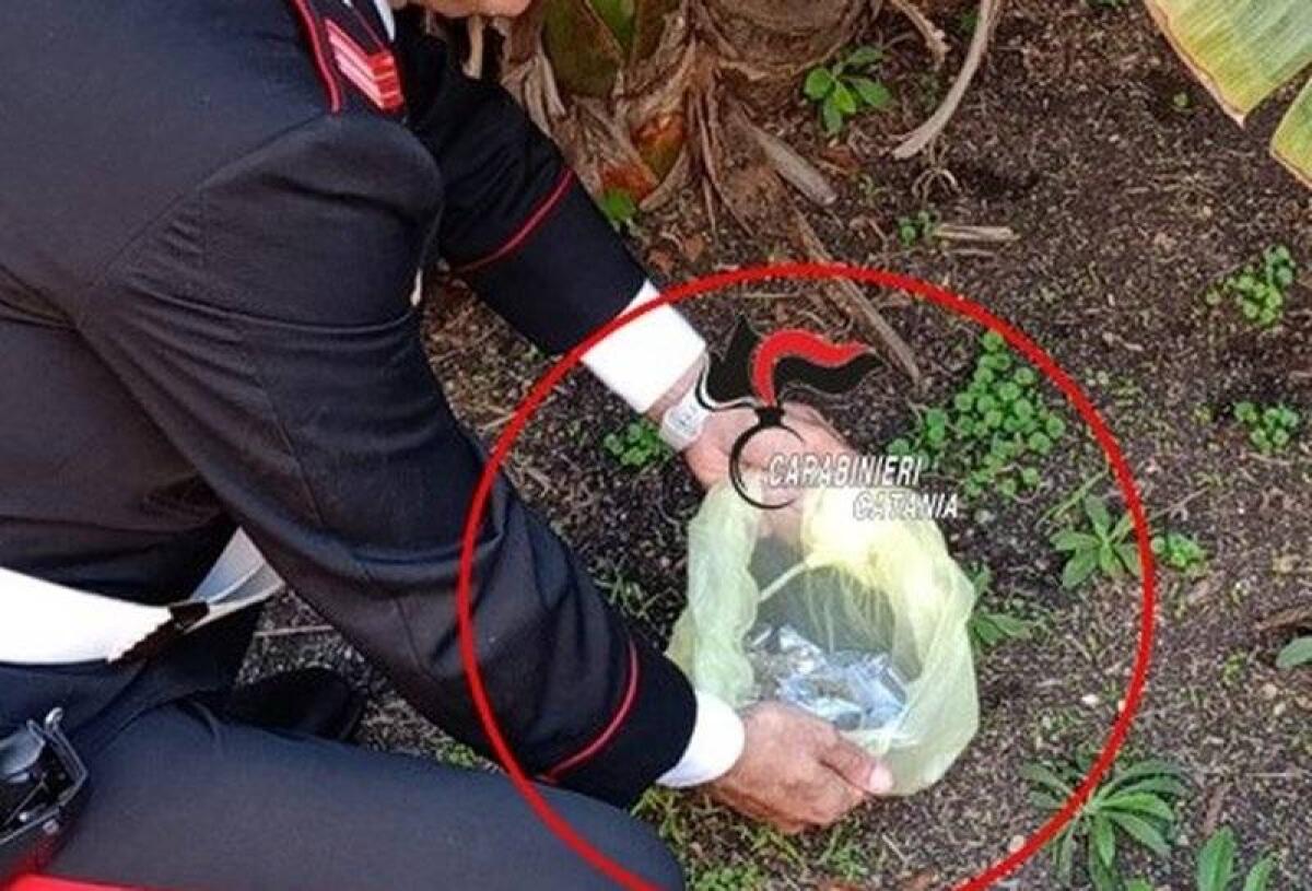 ACI CATENA. A SOLI 15 ANNI FACEVA “AFFARI D’ORO” CON LO SPACCIO DI DROGA: ARRESTATO DAI CARABINIERI - 