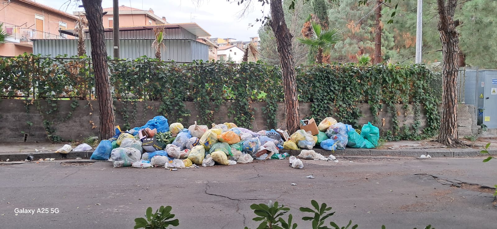 SEGNALAZIONE DEI CITTADINI: DEGRADO E RIFIUTI SU VIALE KENNEDY