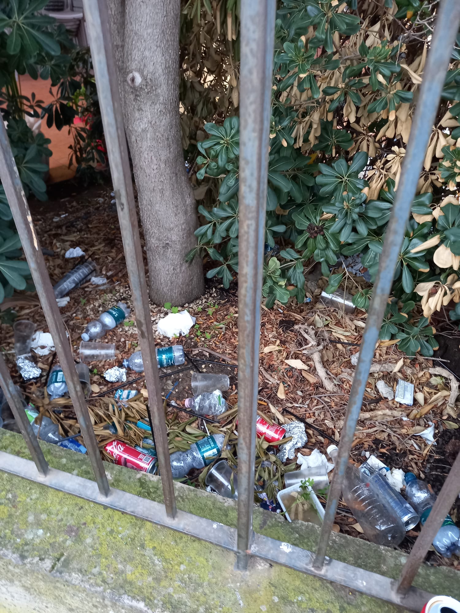 PARCO EUROPA, A PATERNÒ L’ENNESIMA NOTTE DI SCHIAMAZZI E VANDALISMI: CITTADINI ESASPERATI CHIEDONO AIUTO