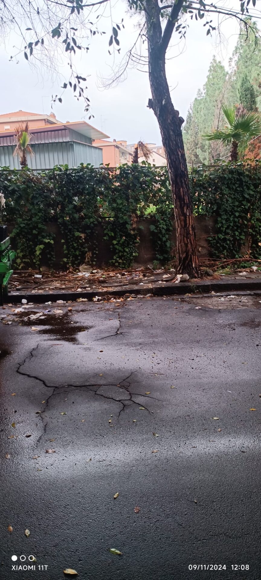 RISOLTO IL PROBLEMA DEL DEGRADO E DEI RIFIUTI SU VIALE KENNEDY: PRONTO INTERVENTO DEL COMUNE