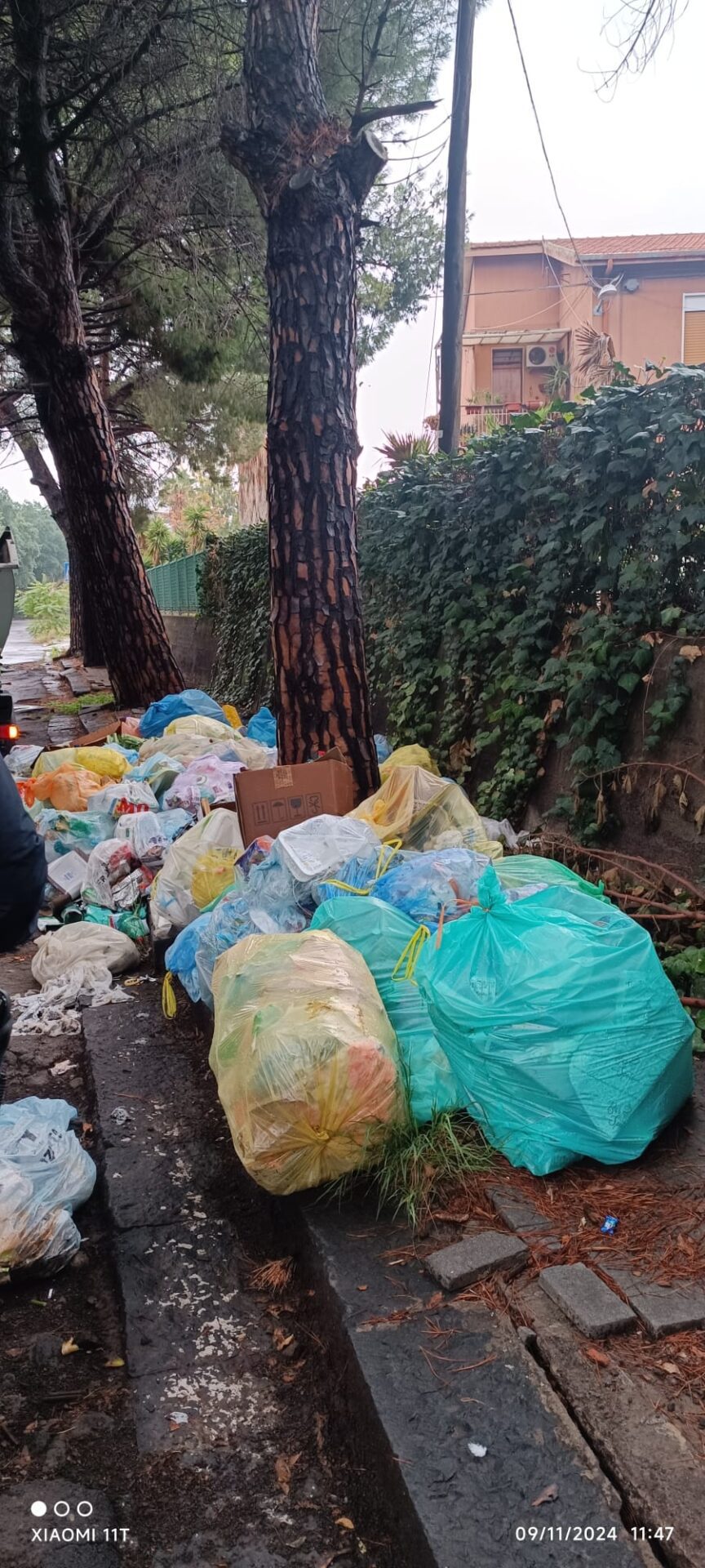 RISOLTO IL PROBLEMA DEL DEGRADO E DEI RIFIUTI SU VIALE KENNEDY: PRONTO INTERVENTO DEL COMUNE