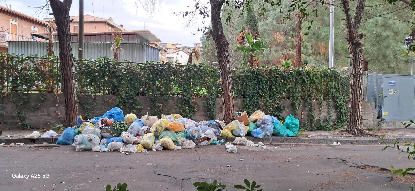 SEGNALAZIONE DEI CITTADINI: DEGRADO E RIFIUTI SU VIALE KENNEDY