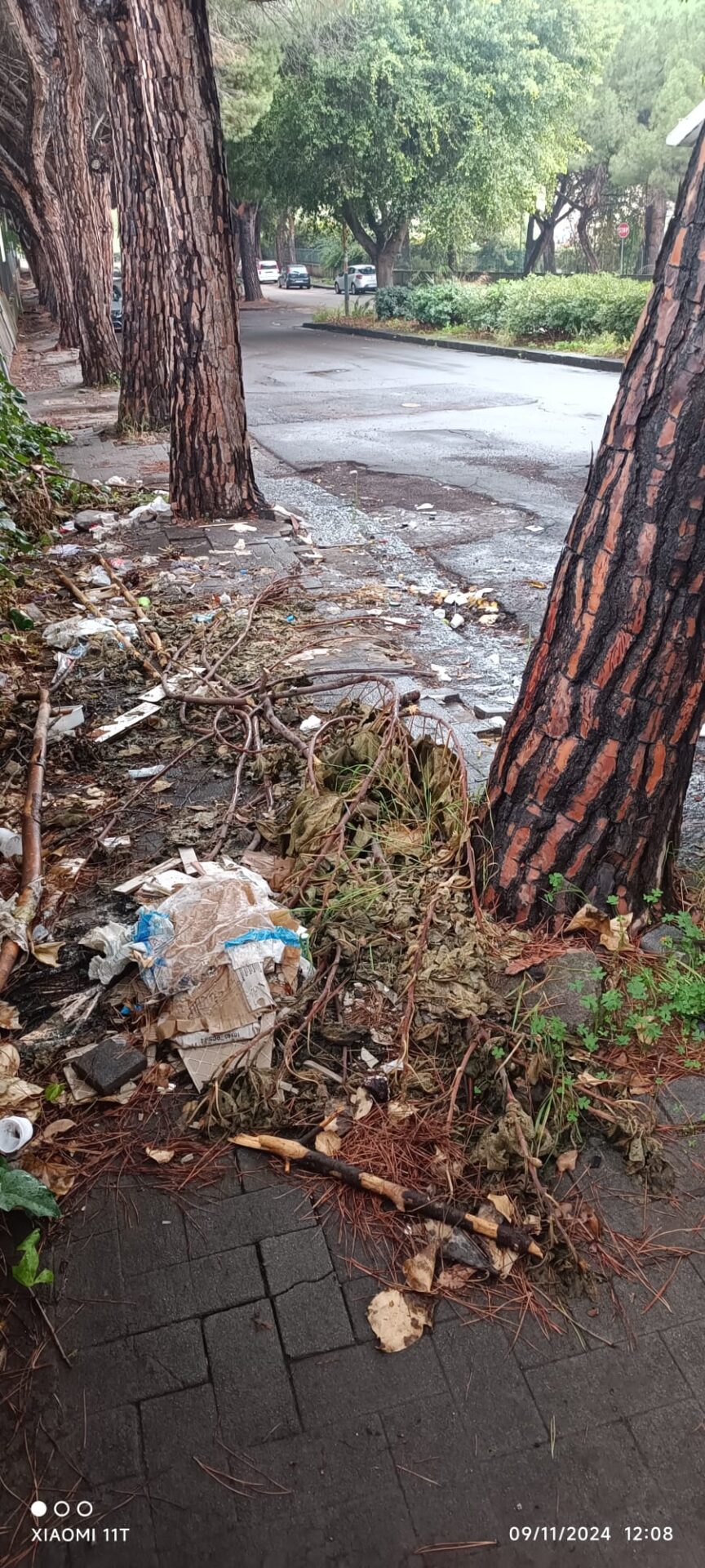 RISOLTO IL PROBLEMA DEL DEGRADO E DEI RIFIUTI SU VIALE KENNEDY: PRONTO INTERVENTO DEL COMUNE