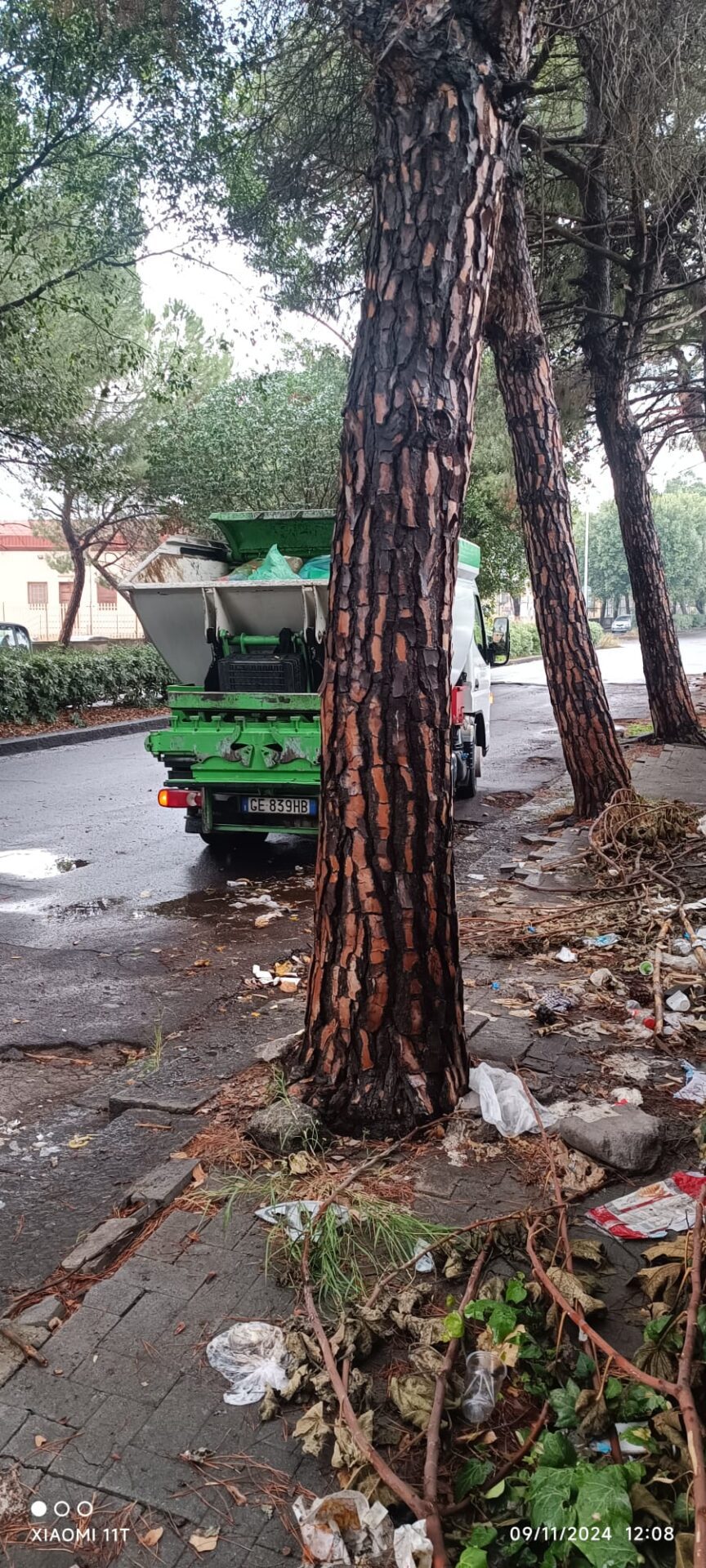 RISOLTO IL PROBLEMA DEL DEGRADO E DEI RIFIUTI SU VIALE KENNEDY: PRONTO INTERVENTO DEL COMUNE