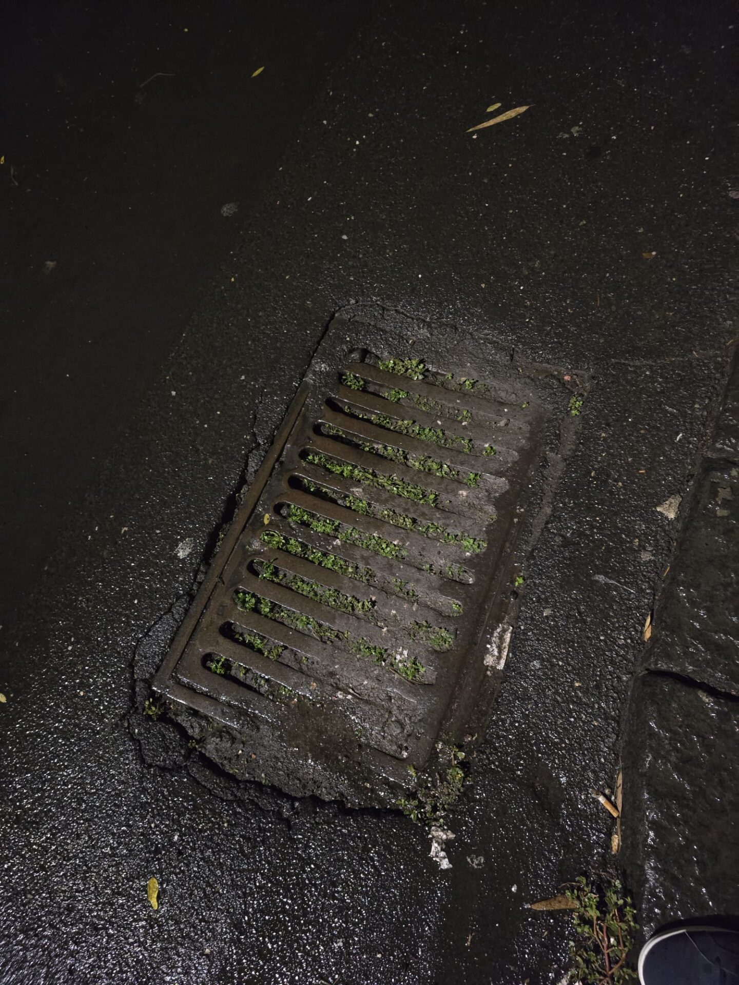 ALLERTA METEO E TOMBINI OSTRUITI IN VIA MONTECARLO E VIA LIBERTÀ: I RESIDENTI LANCIANO L'ALLARME