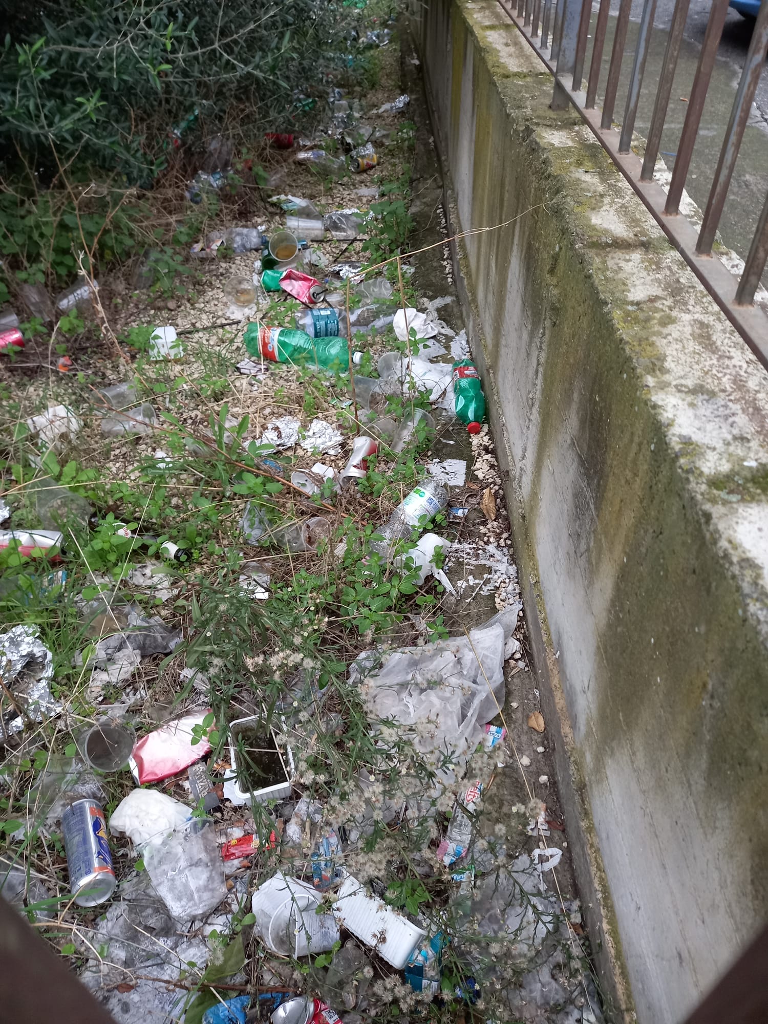 PARCO EUROPA, A PATERNÒ L’ENNESIMA NOTTE DI SCHIAMAZZI E VANDALISMI: CITTADINI ESASPERATI CHIEDONO AIUTO