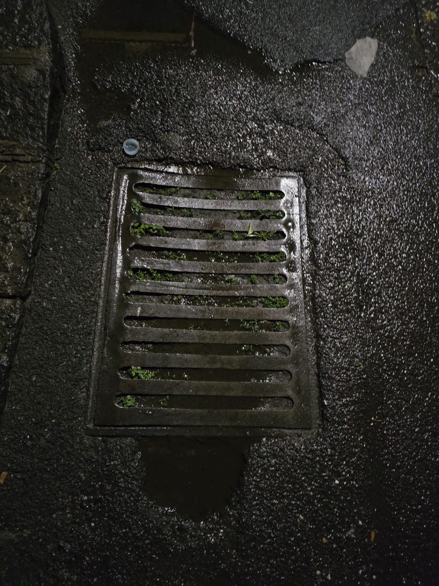 ALLERTA METEO E TOMBINI OSTRUITI IN VIA MONTECARLO E VIA LIBERTÀ: I RESIDENTI LANCIANO L'ALLARME