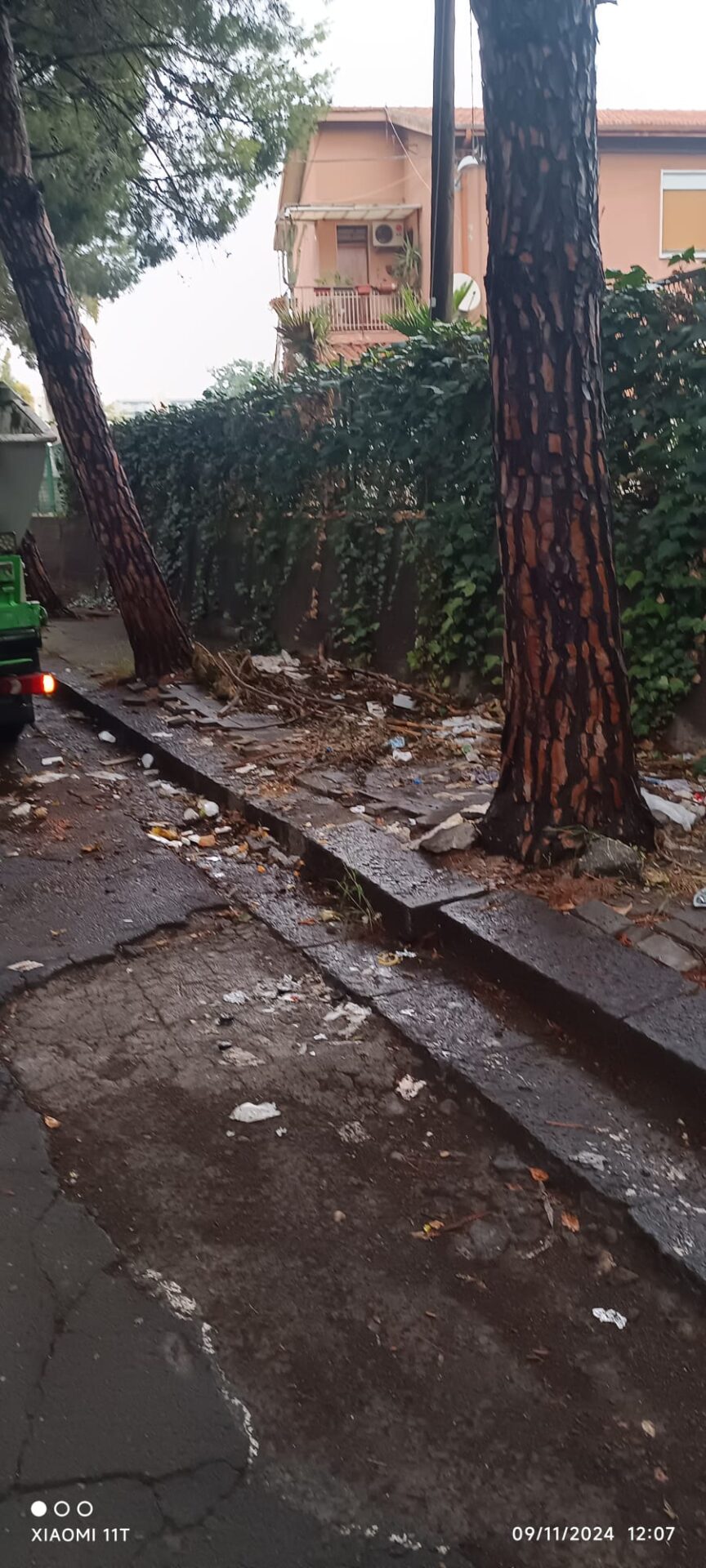 RISOLTO IL PROBLEMA DEL DEGRADO E DEI RIFIUTI SU VIALE KENNEDY: PRONTO INTERVENTO DEL COMUNE