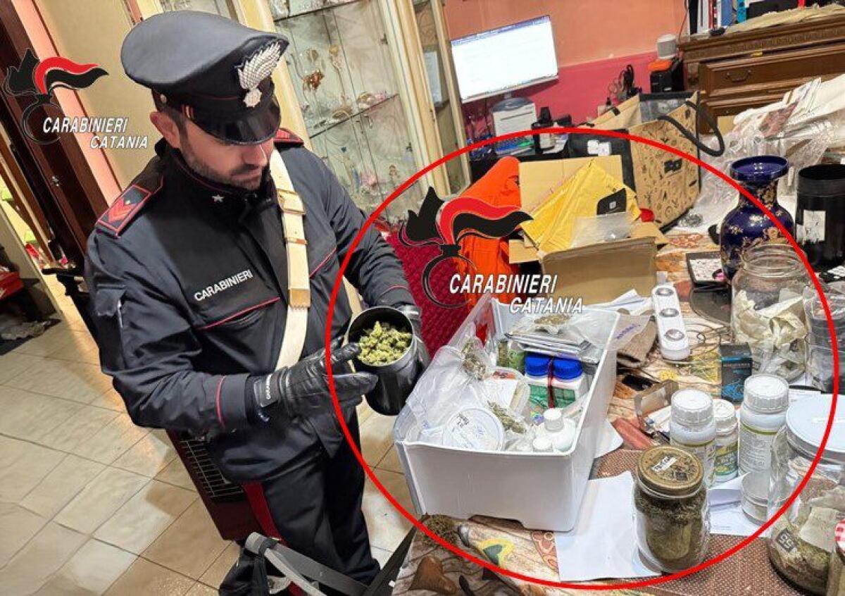 CATANIA, QUARTIERE SAN CRISTOFORO: PRODUCEVA IN CASA LA MARIJUANA DA VENDERE. ARRESTATO - 