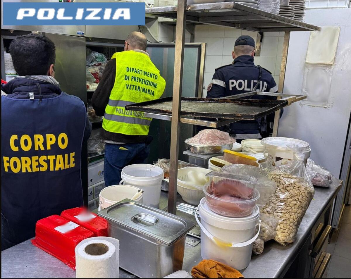 CATANIA. SEQUESTRATI 33 KG DI ALIMENTI NON TRACCIATI IN UN BAR DI VIA ETNEA - 