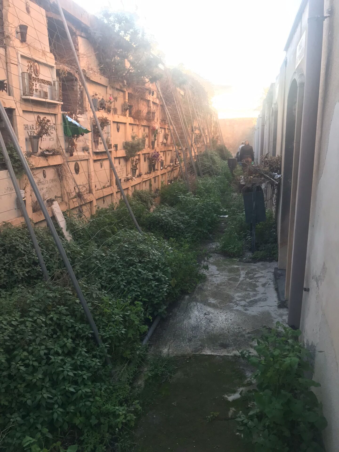 LETTERA ALLA REDAZIONE: IL TRISTE STATO DEL CIMITERO DI PATERNÒ