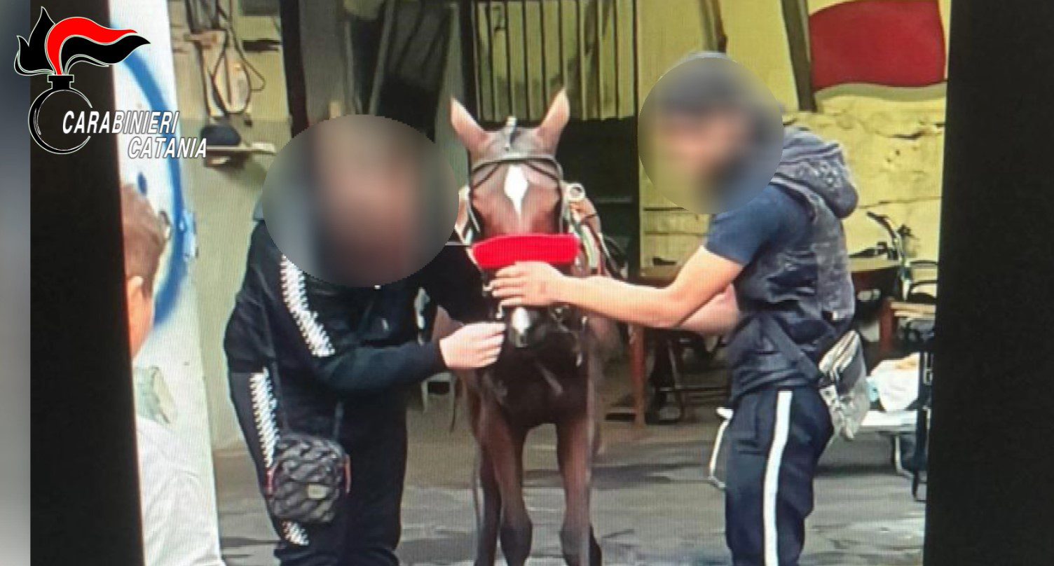 CATANIA. FURTI D’AUTO E DROGA: MAXI OPERAZIONE NEL QUARTIERE PICANELLO, 12 ARRESTI