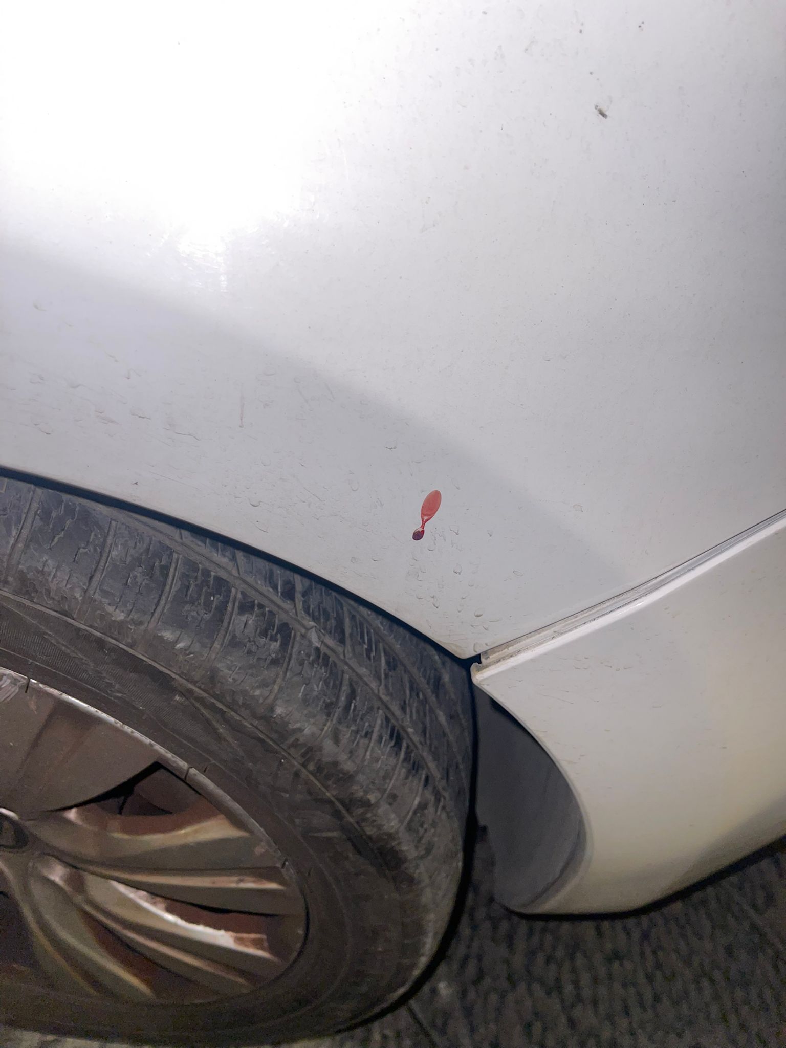 PATERNO'. PARCHEGGIANO L’AUTO  E LA TROVANO VANDALIZZATA: LA DENUNCIA DI UNA CITTADINA