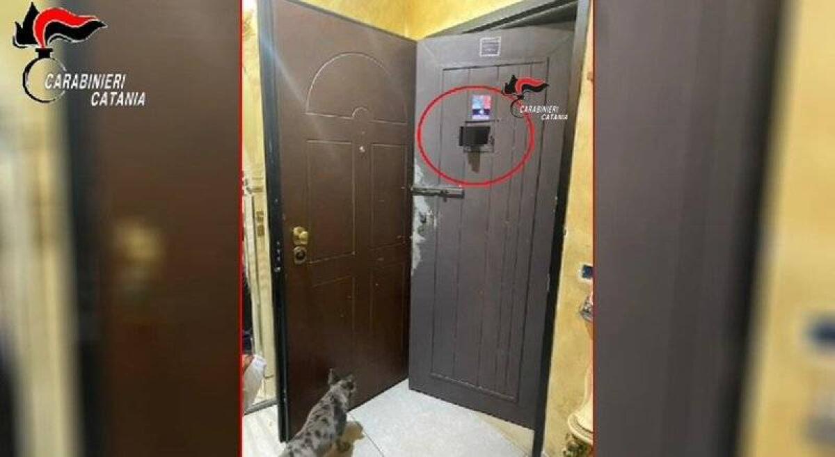 CATANIA, SPACCIO PROTETTO DA PORTE BLINDATE E ROTTWEILER: 18 ARRESTI, TRA CUI 5 MINORENNI . I NOMI - 