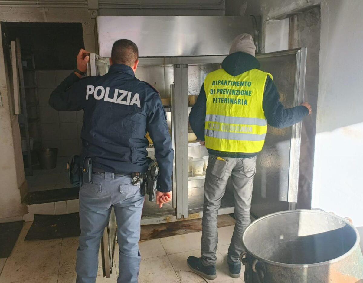 CATANIA. CASEIFICIO DELL’ORRORE: FORMAGGI MARCI E SANGUE INCROSTATO, SCATTA IL SEQUESTRO - 