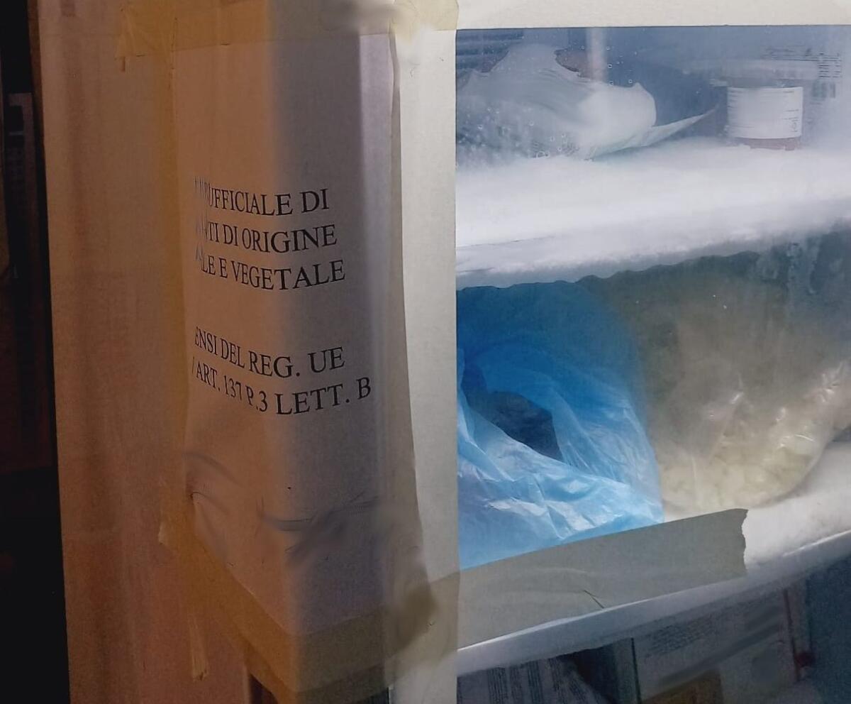 CONTROLLI SERRATI NEL CENTRO STORICO DI CATANIA: SANZIONI PER OLTRE 4 MILA EURO A FAST-FOOD E LOCALI - 