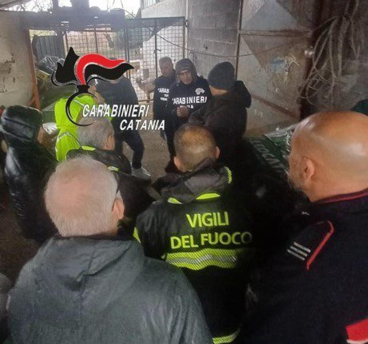 SOSPESO UN ALLEVAMENTO DI ANIMALI AD ACI SANT’ANTONIO, DENUNCIATO IL TITOLARE - 