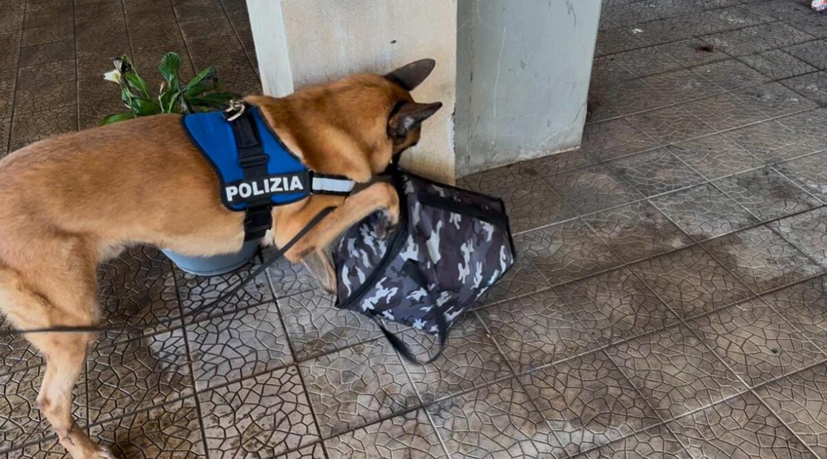 CATANIA. ARMI E STUPEFACENTI NELLO ZAINO NASCOSTO IN GARAGE , SEQUESTRATA DALLA POLIZIA DI STATO DROGA PER UN VALORE DI 120 MILA EURO. ARRESTATO UN 26ENNE - 