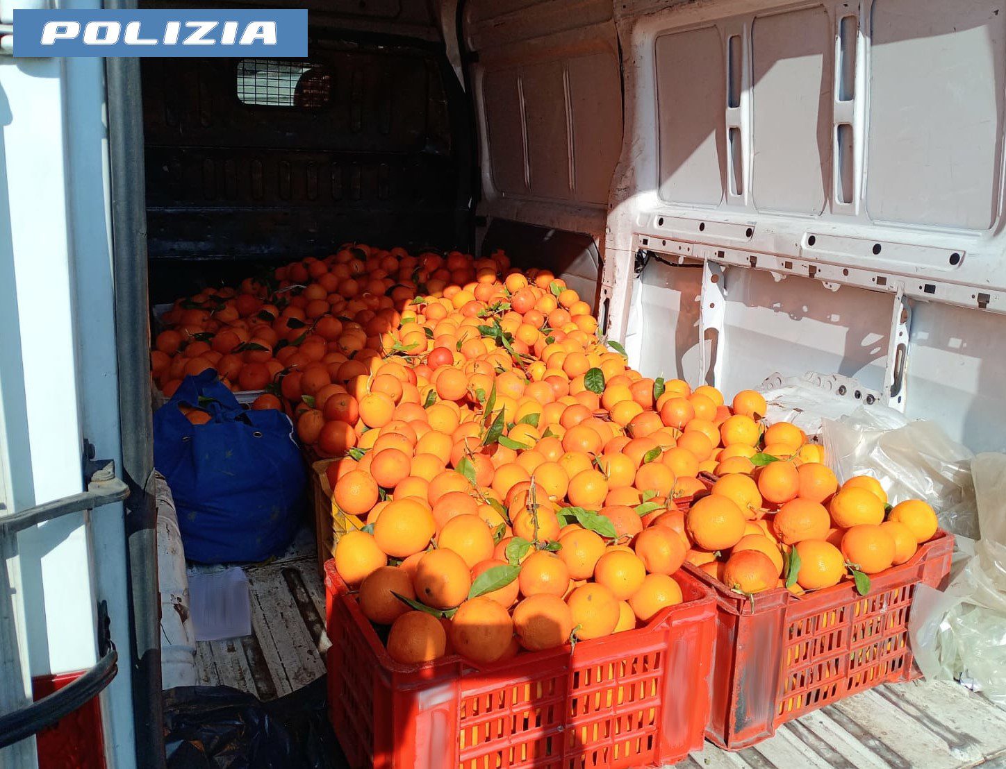 CATANIA. FERMATO DALLA POLIZIA DI STATO CON UN CARICO DI 700 CHILI DI ARANCE RUBATE