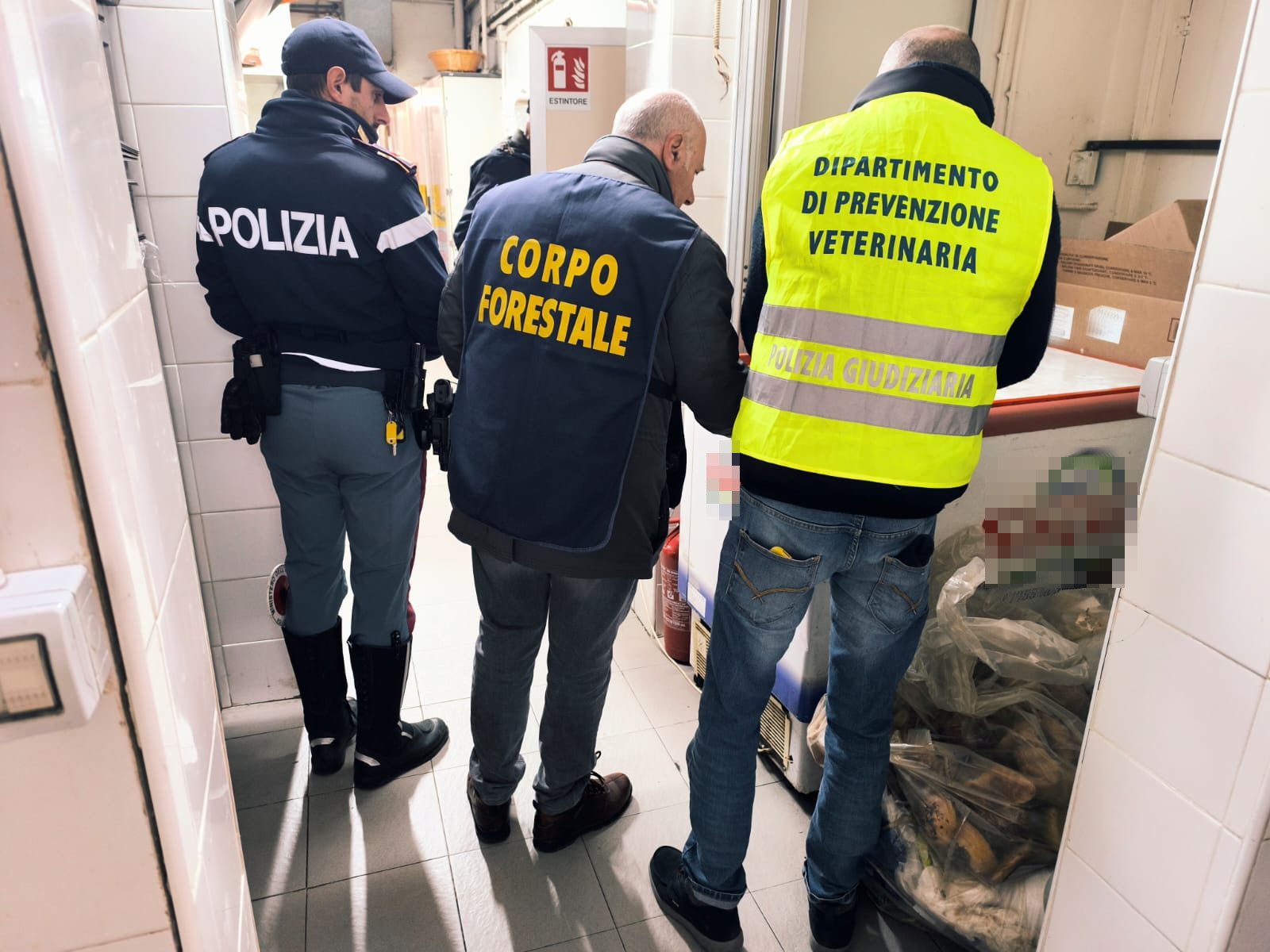 CATANIA. BLATTE SUL FRIGORIFERO E 120 KG DI ALIMENTI SEQUESTRATI: SOSPESO IL LABORATORIO DI UN BAR IN VIA ETNEA