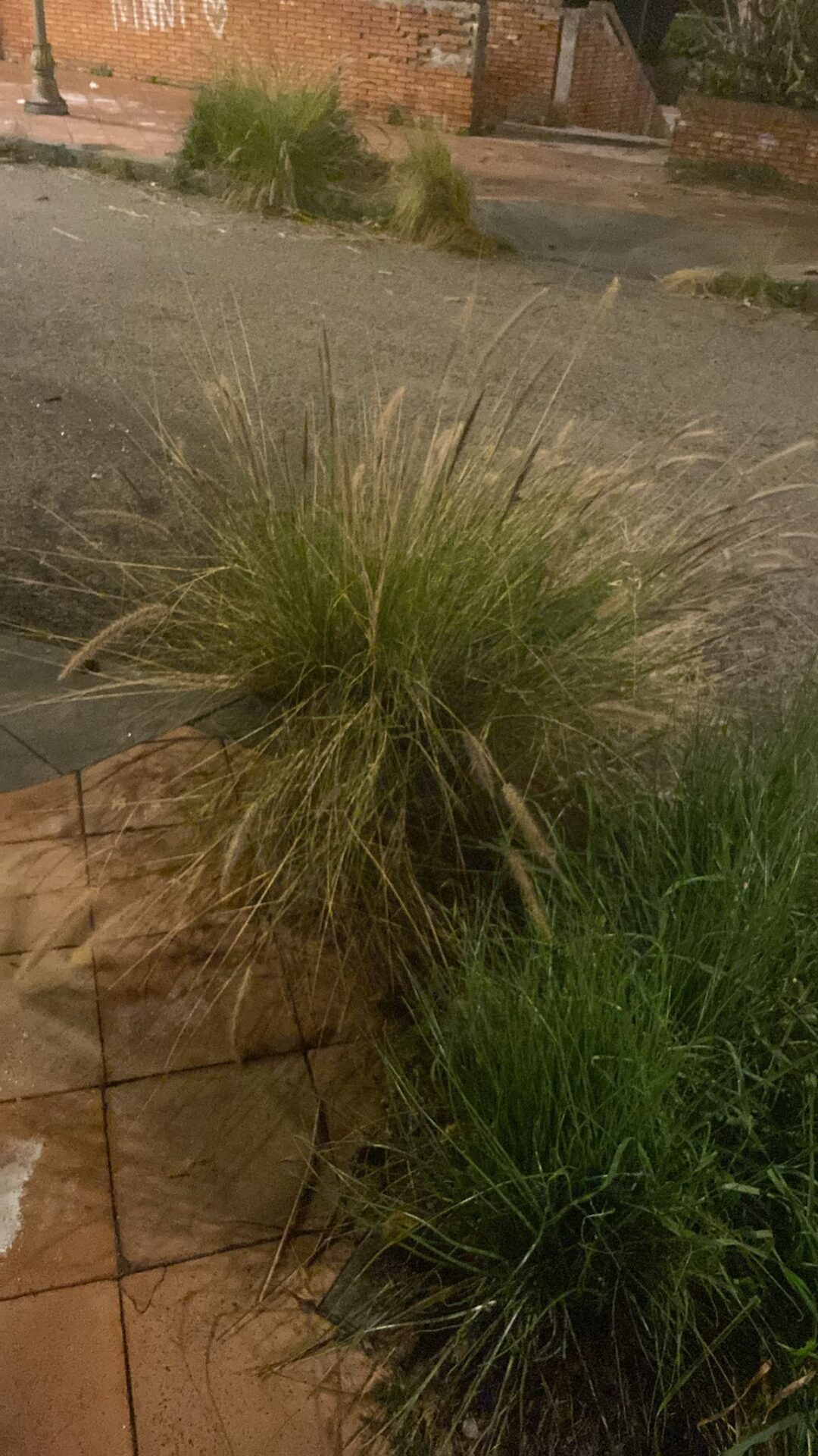 DEGRADO A PATERNO, PIAZZA NINO LA RUSSA: NON BASTANO AMMINISTRAZIONE E OPERATORI, SERVE IL CONTRIBUTO DI TUTTI. LA LETTERA DI UNA CITTADINA