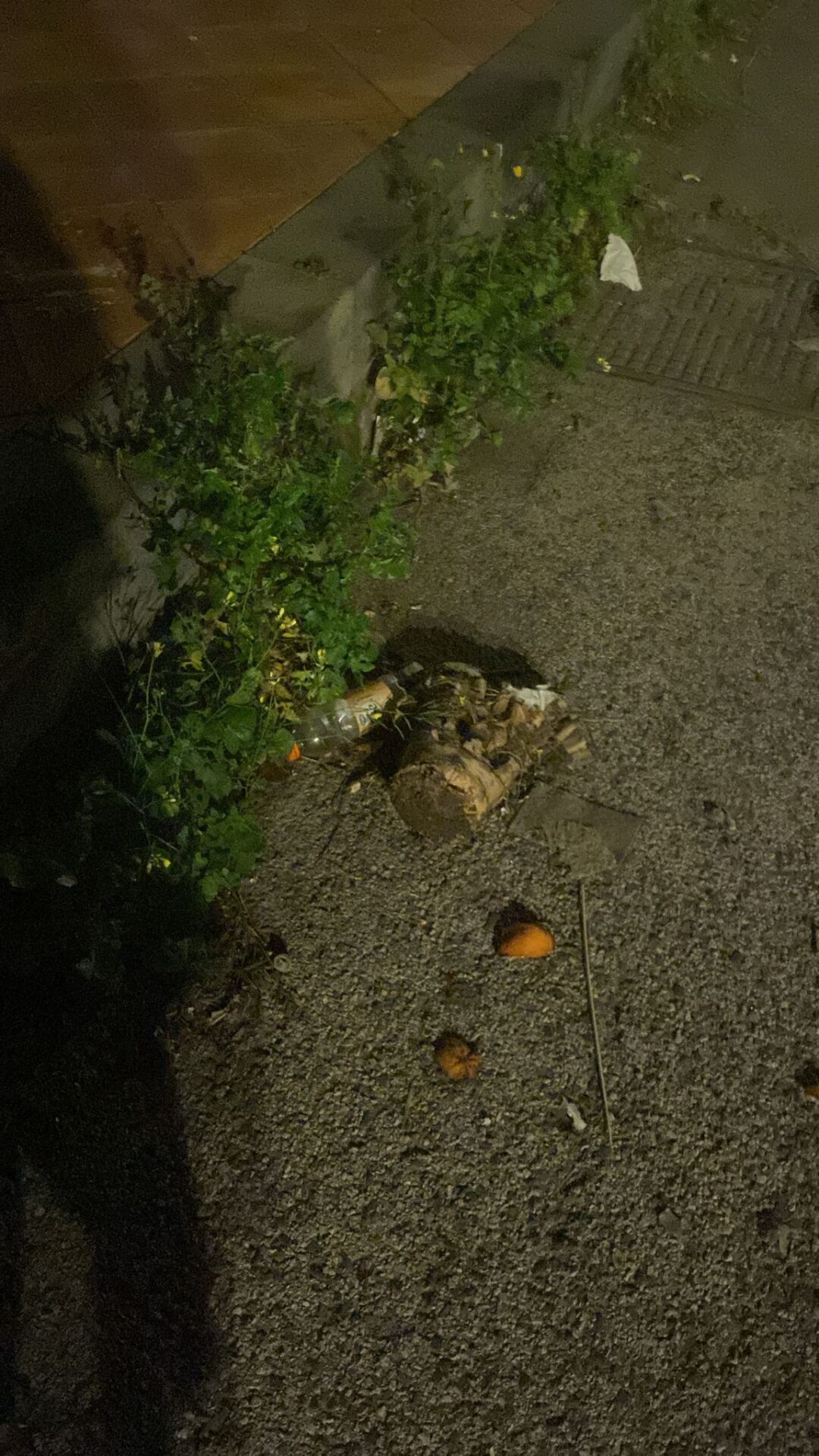 DEGRADO A PATERNO, PIAZZA NINO LA RUSSA: NON BASTANO AMMINISTRAZIONE E OPERATORI, SERVE IL CONTRIBUTO DI TUTTI. LA LETTERA DI UNA CITTADINA