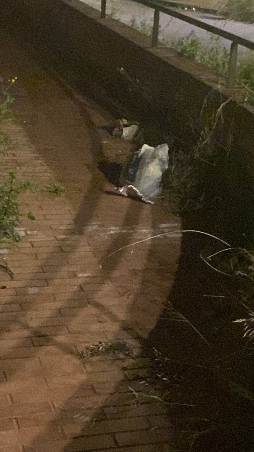 DEGRADO A PATERNO, PIAZZA NINO LA RUSSA: NON BASTANO AMMINISTRAZIONE E OPERATORI, SERVE IL CONTRIBUTO DI TUTTI. LA LETTERA DI UNA CITTADINA